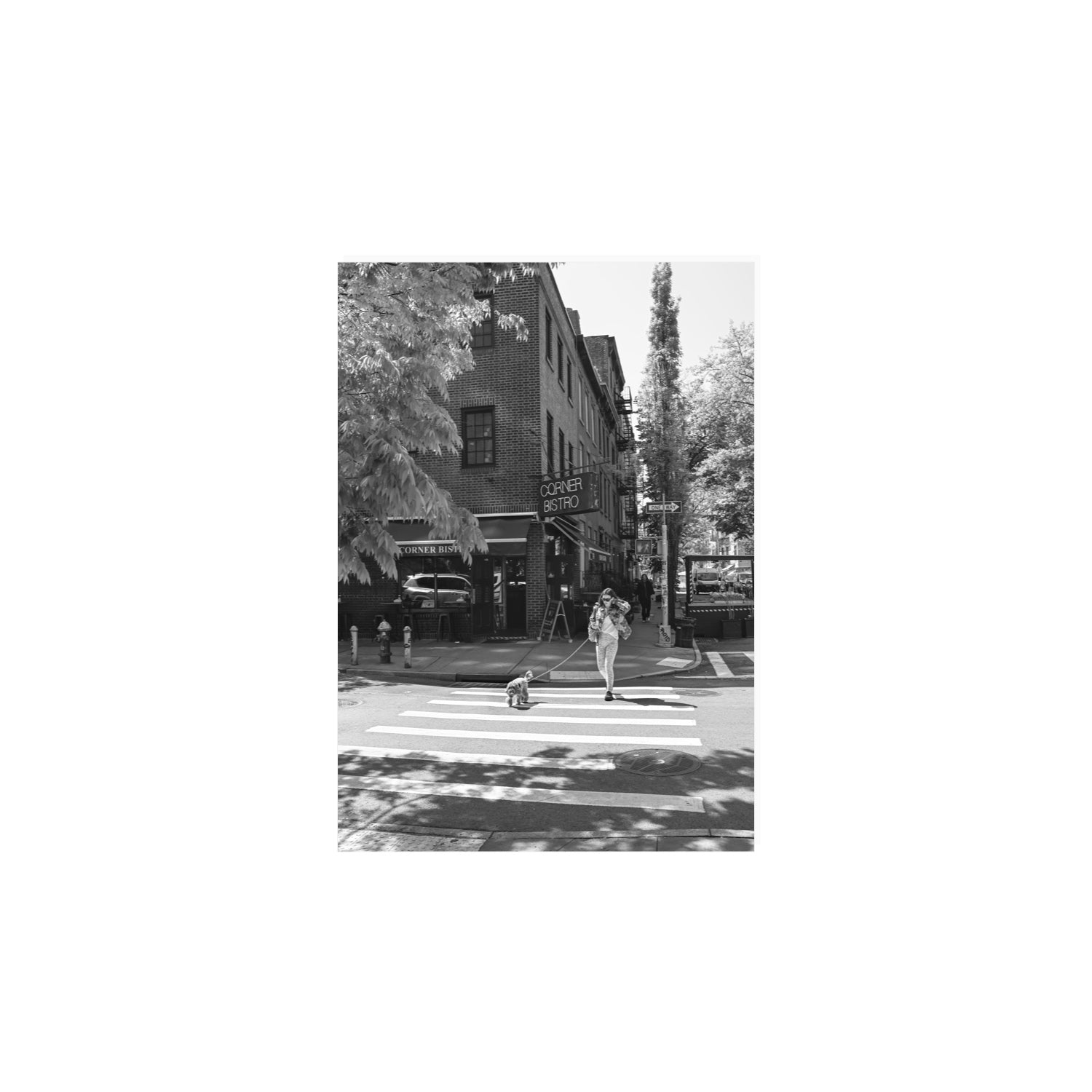 Sunlit Stroll New York NYC Black & White wall art A4, 29.7 x 21 cm unframed fine art canvas