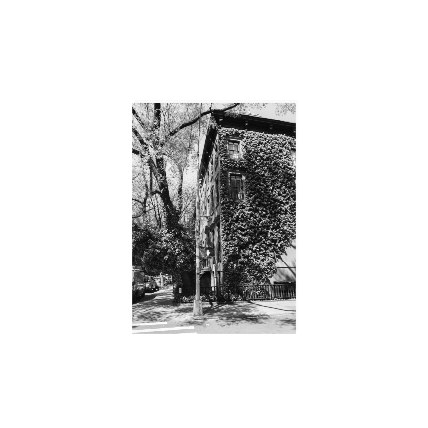 Vertical Garden New York NYC Black & White wall art A4, 29.7 x 21 cm unframed fine art canvas