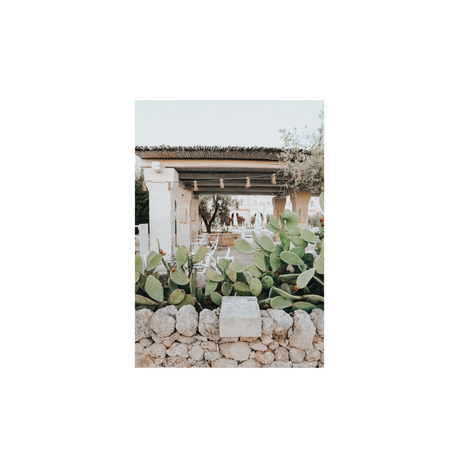 Puglia Flora Puglia Borgo Egnazia Mediterranean wall art A3, 42 x 29.7 cm unframed fine art canvas