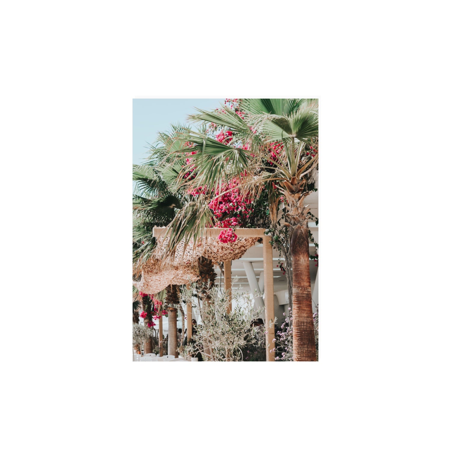 Palm Trees Mykonos Greek island wall art A3, 42 x 29.7 cm unframed fine art canvas