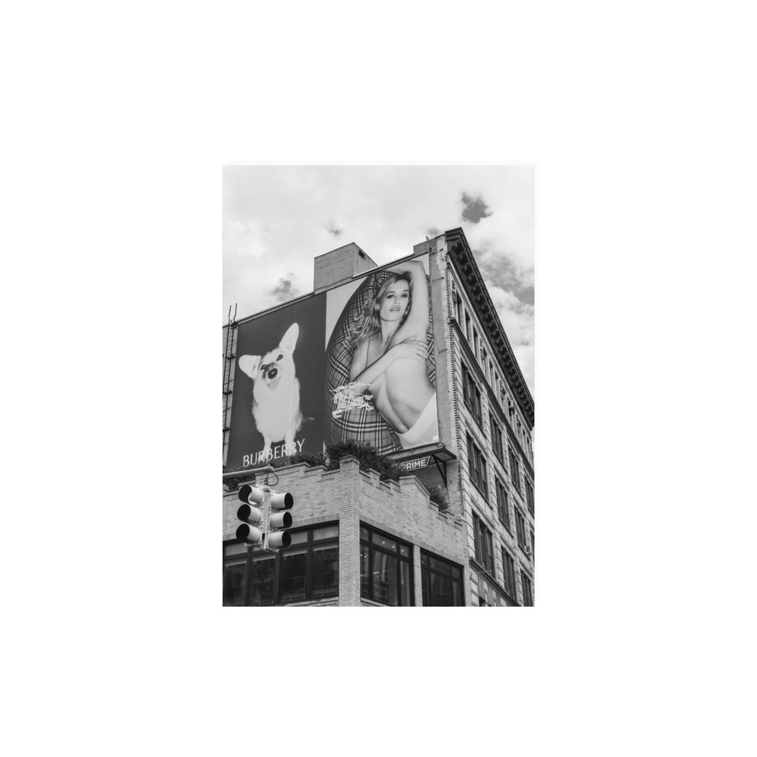 Dynamic Duo fine art print, New York, United States, A3 · 42 x 29.7 cm, Unframed, Fine Art Canvas