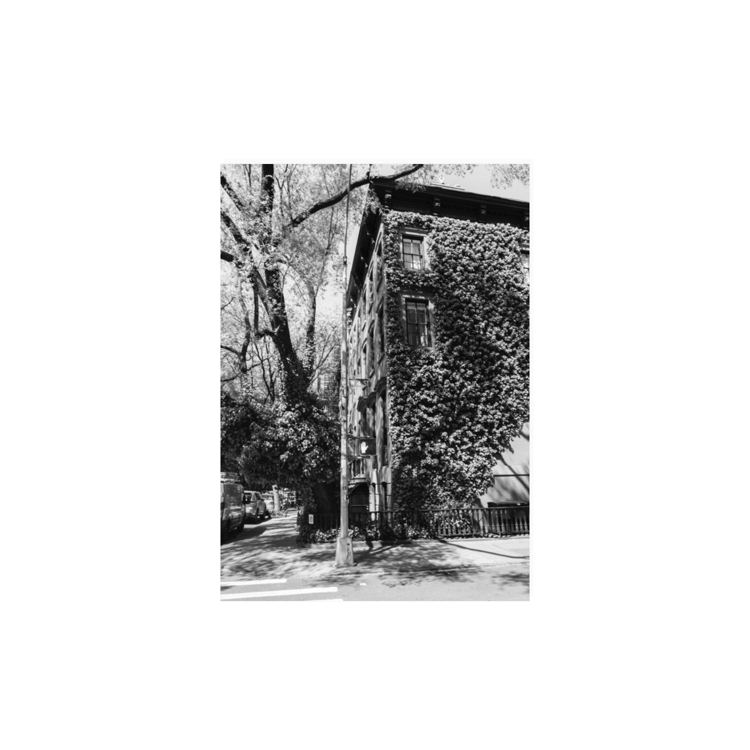 Vertical Garden New York NYC Black & White wall art A3, 42 x 29.7 cm unframed fine art canvas