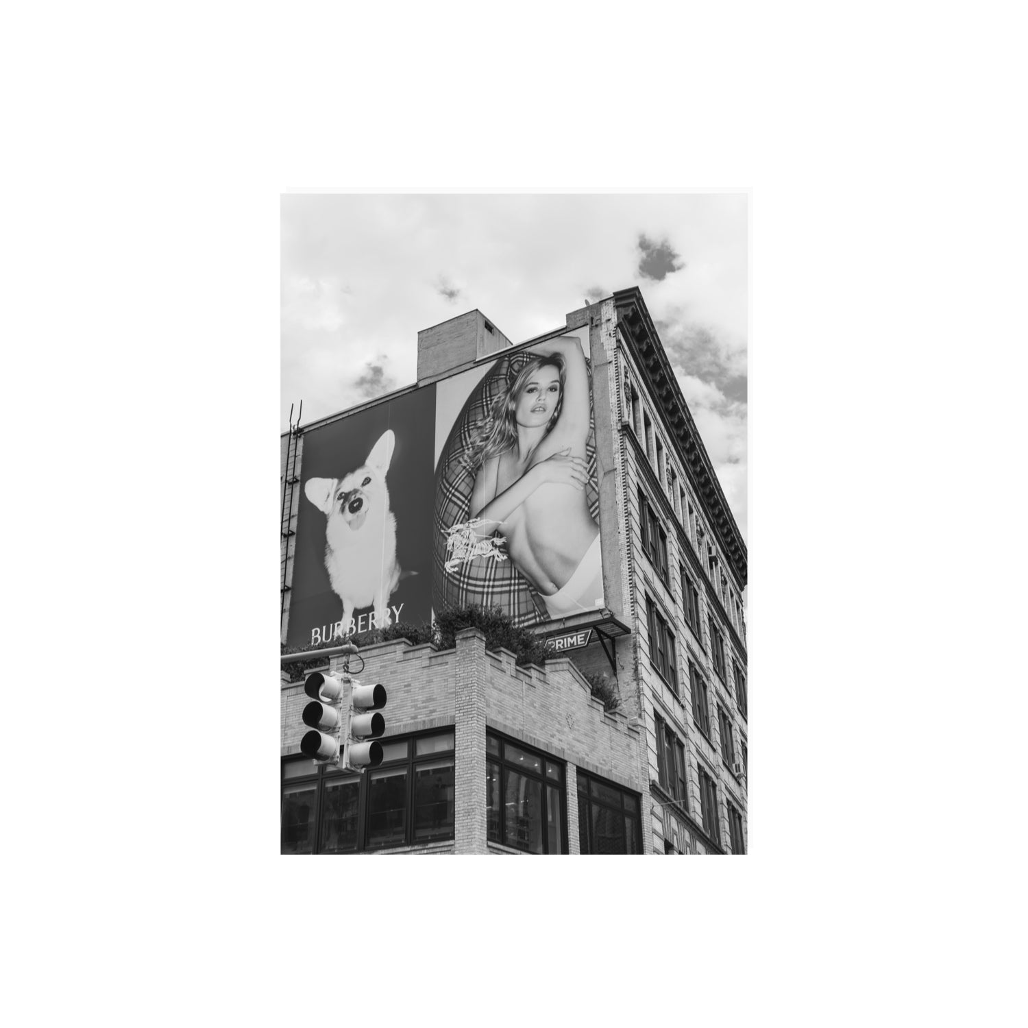 Dynamic Duo fine art print, New York, United States, A2 · 59.4 x 42 cm, Unframed, Fine Art Canvas