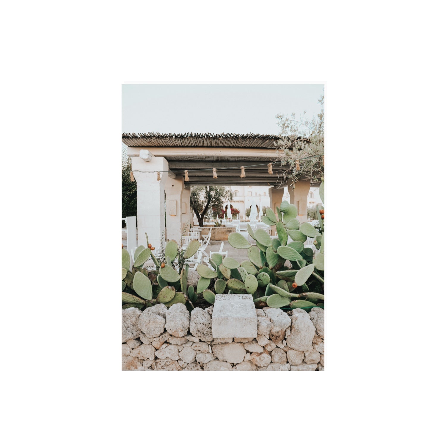 Puglia Flora Puglia Borgo Egnazia Mediterranean wall art A2, 59.4 x 42 cm unframed fine art canvas