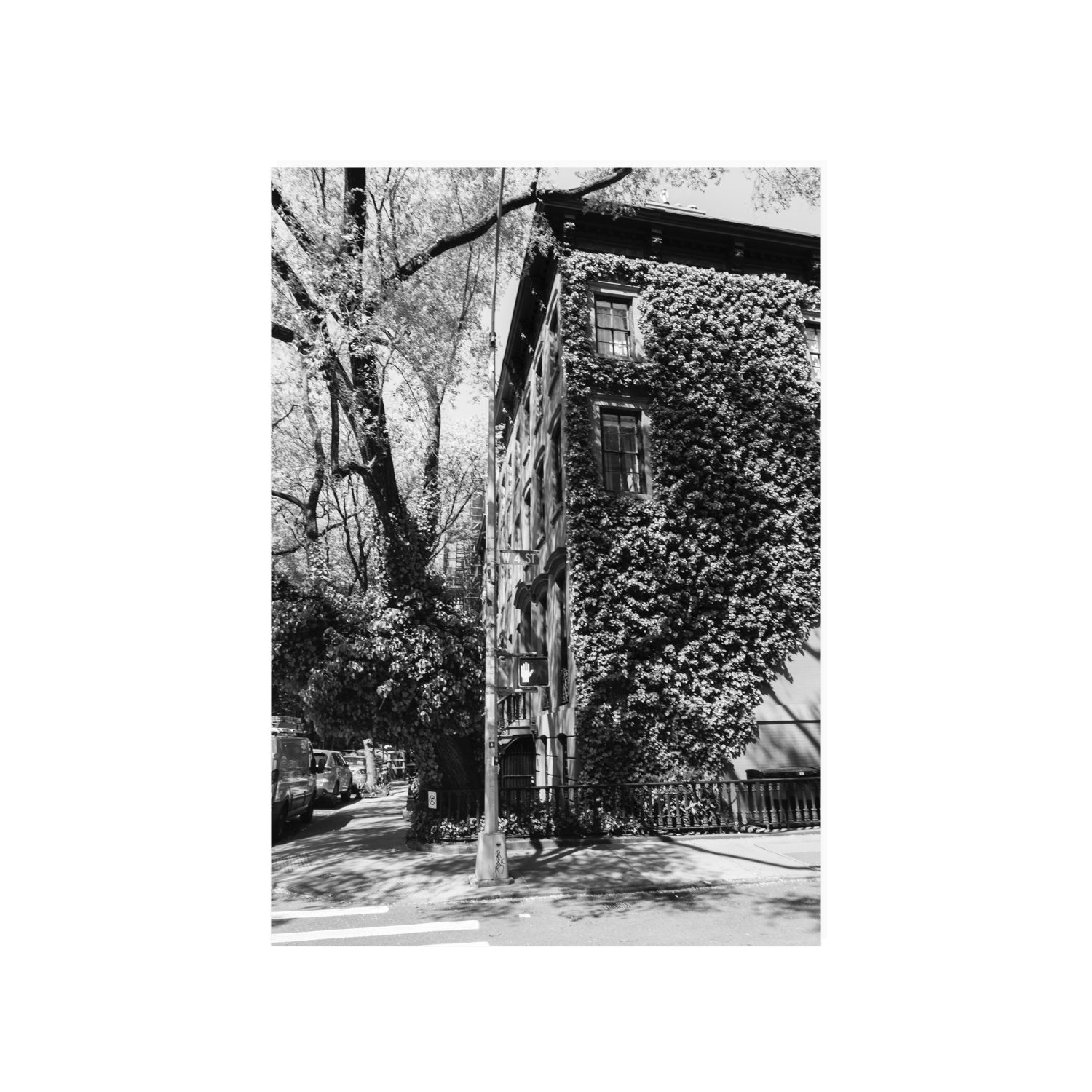 Vertical Garden New York NYC Black & White wall art A1, 84.1 x 59.4 cm unframed fine art canvas