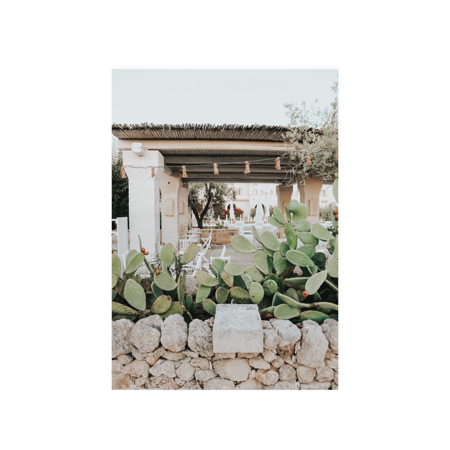 Puglia Flora Puglia Borgo Egnazia Mediterranean wall art A1, 84.1 x 59.4 cm unframed fine art canvas