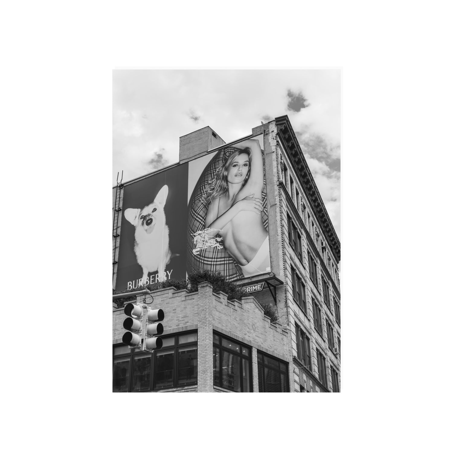 Dynamic Duo fine art print, New York, United States, A1 · 84.1 x 59.4 cm, Unframed, Fine Art Canvas