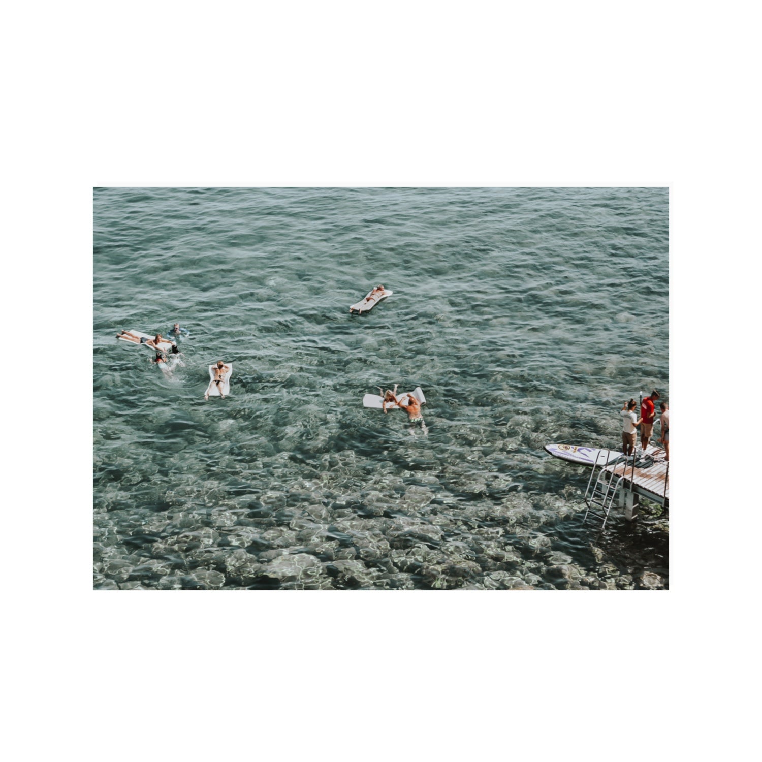 Having A Whale Of A Time Tuscany coastal wall art 100 x 70 cm unframed fine art canvas