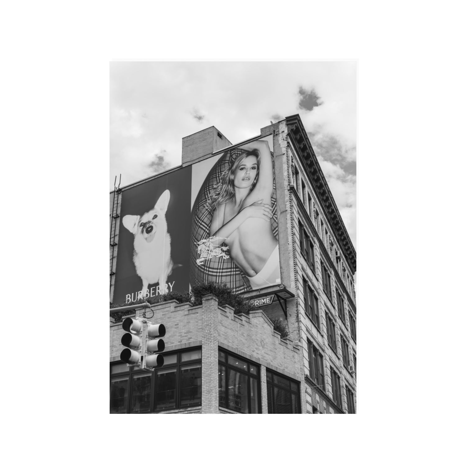 Dynamic Duo fine art print, New York, United States, 100 x 70 cm, Unframed, Fine Art Canvas