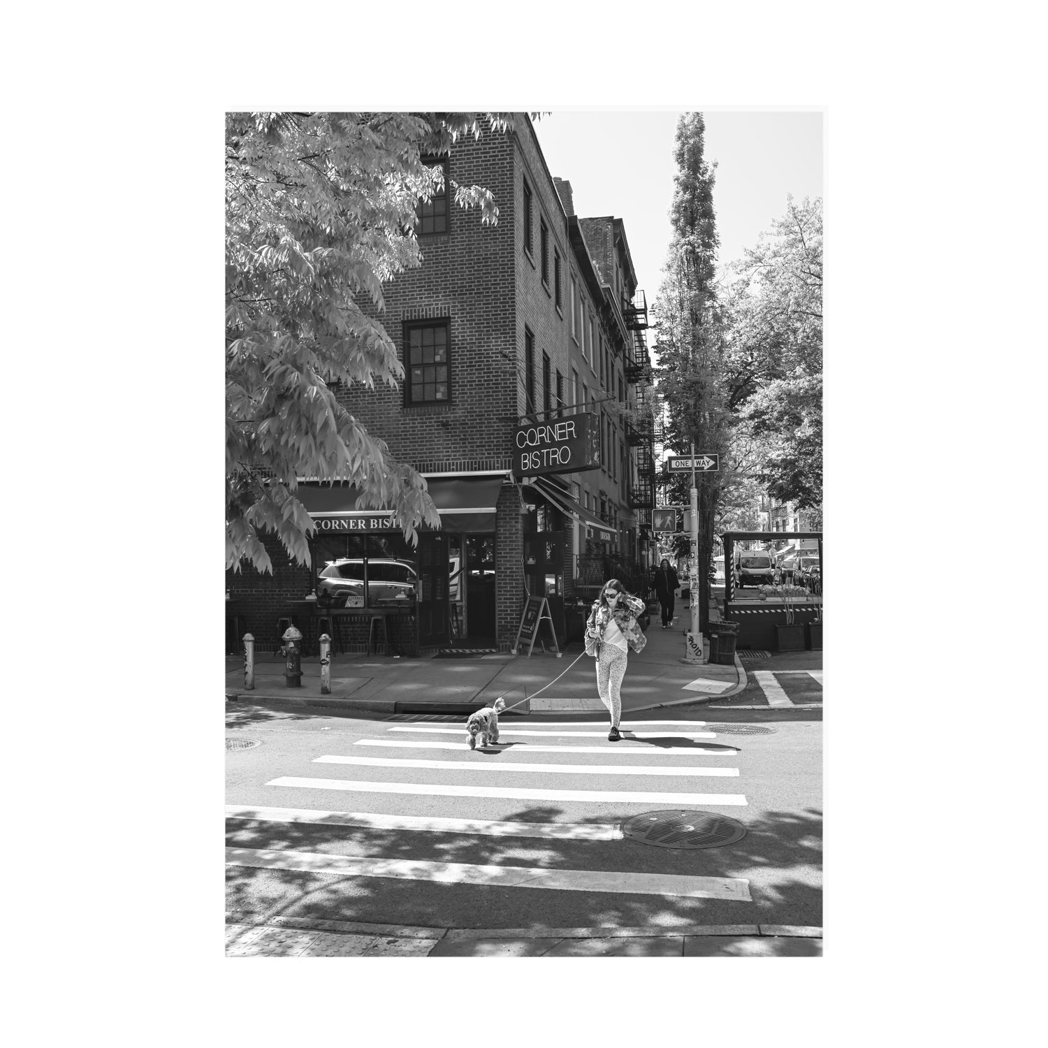 Sunlit Stroll New York NYC Black & White wall art A0 unframed fine art canvas