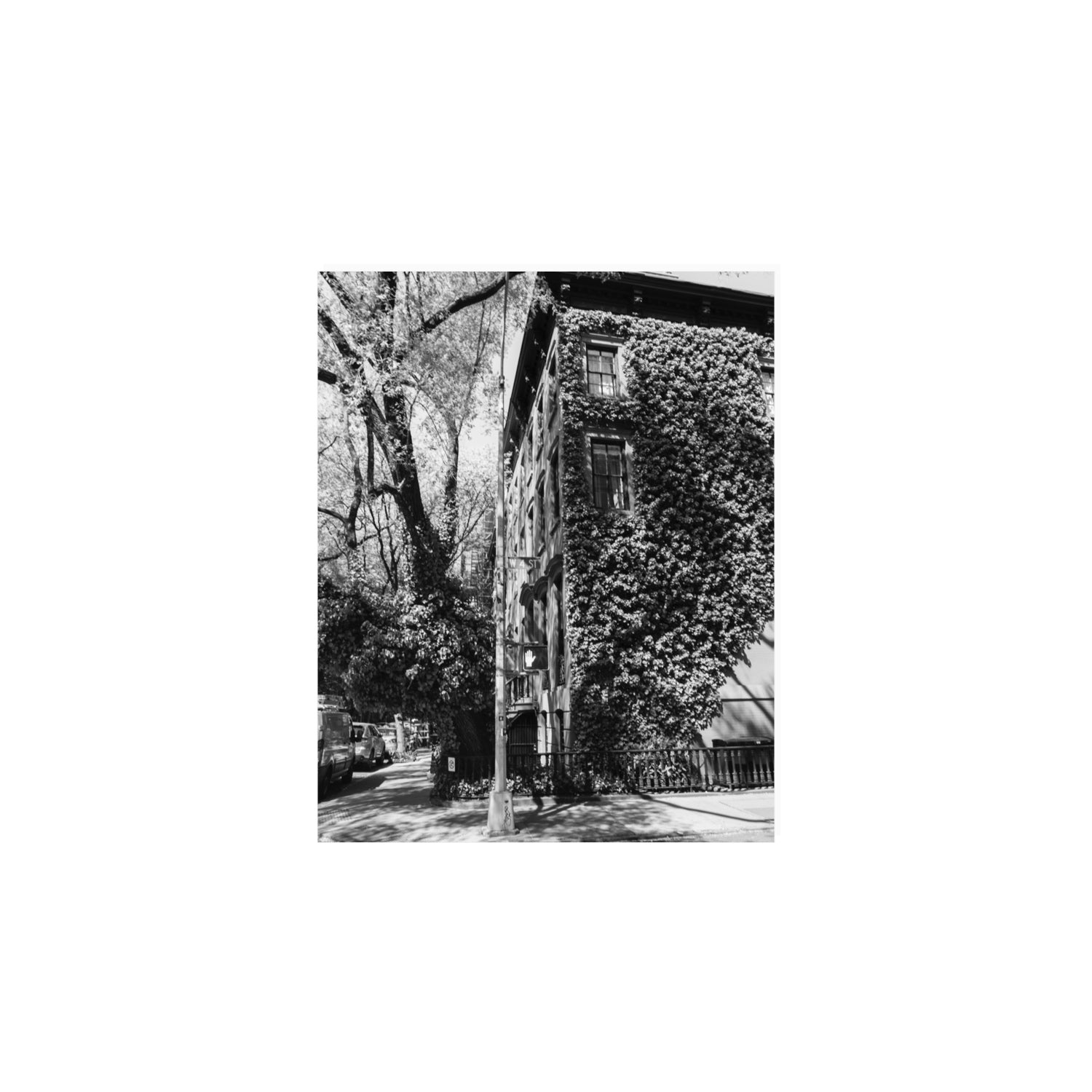 Vertical Garden New York NYC Black & White wall art 8 x 10 in unframed fine art canvas