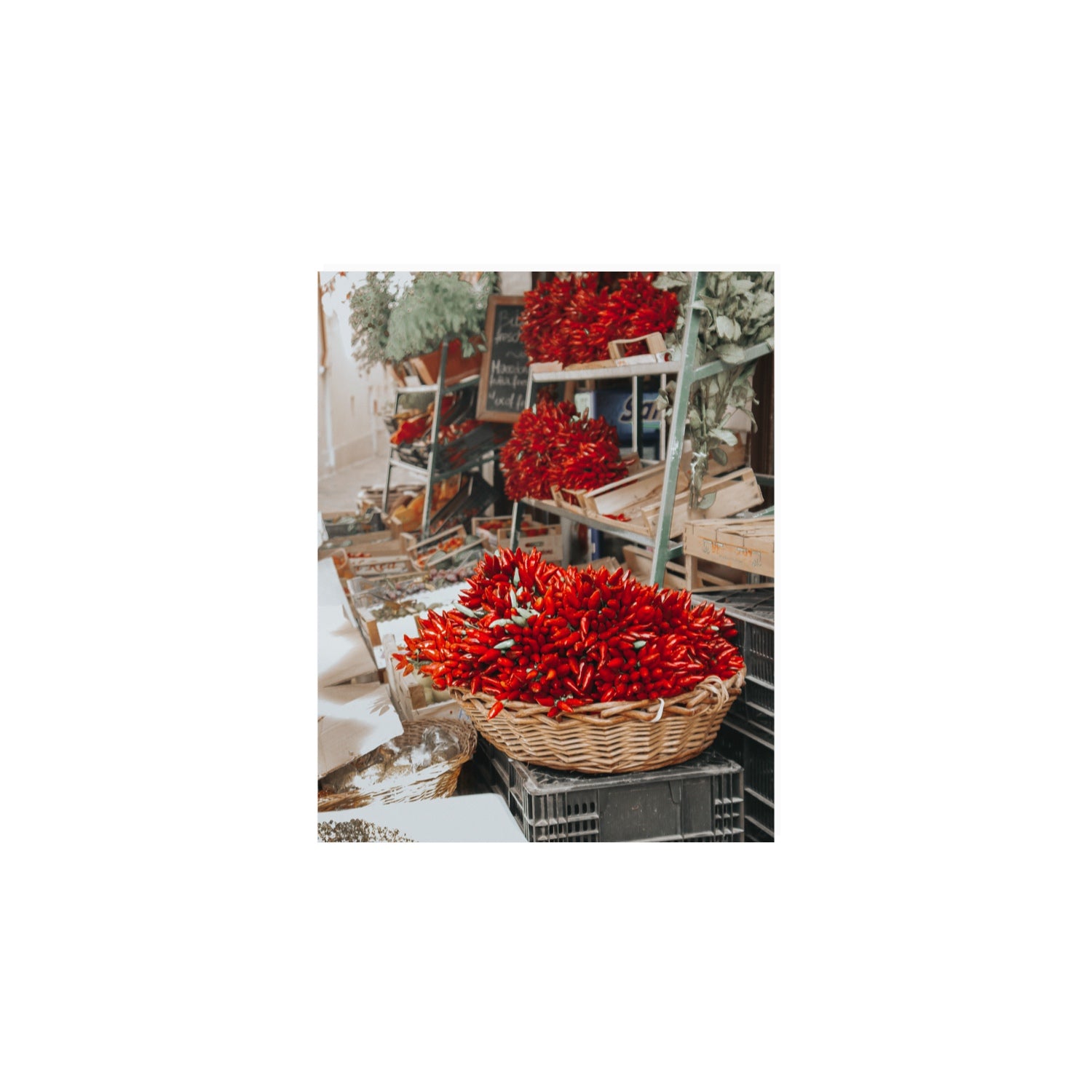 Fiery Cluster Puglia Italian wall art 8 x 10 in unframed fine art canvas