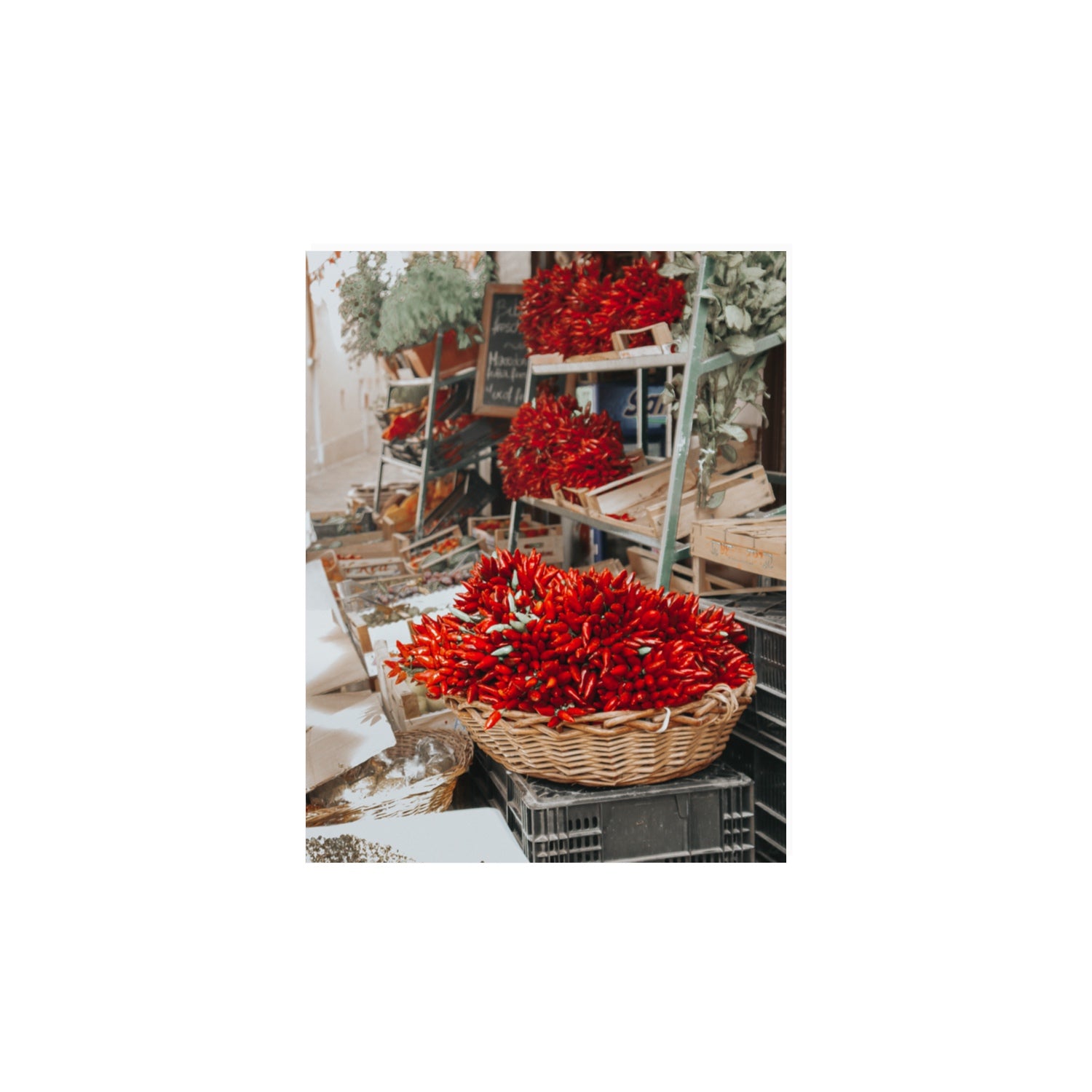 Fiery Cluster Puglia Italian wall art 11 x 14 in unframed fine art canvas