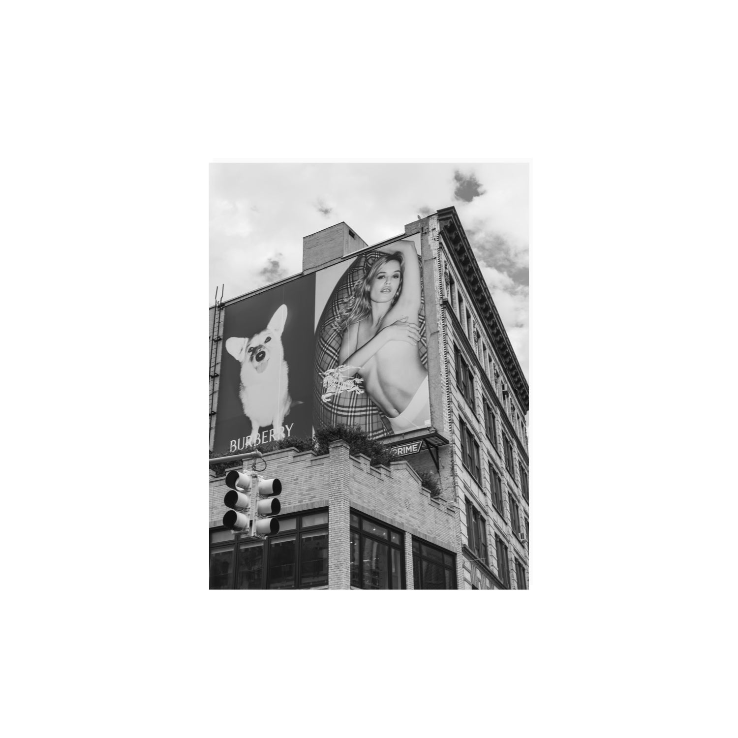 Dynamic Duo fine art print, New York, United States, 12 x 16 in, Unframed, Fine Art Canvas