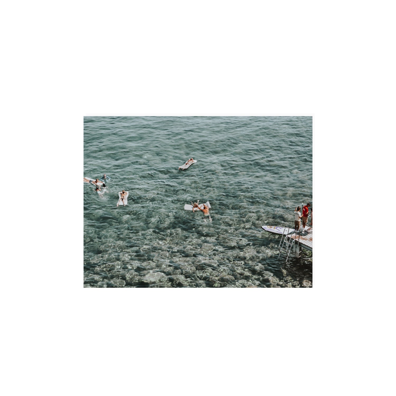 Having A Whale Of A Time Tuscany coastal wall art 12 x 16 in unframed fine art canvas