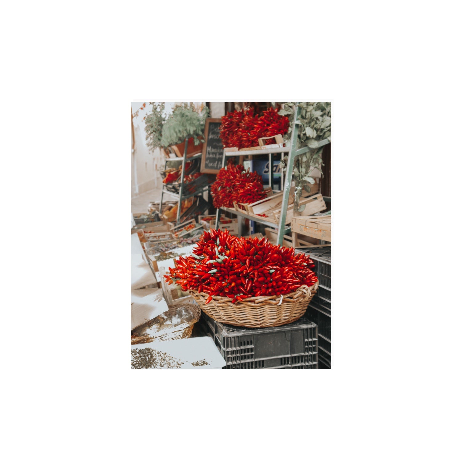 Fiery Cluster Puglia Italian wall art 12 x 16 in unframed fine art canvas