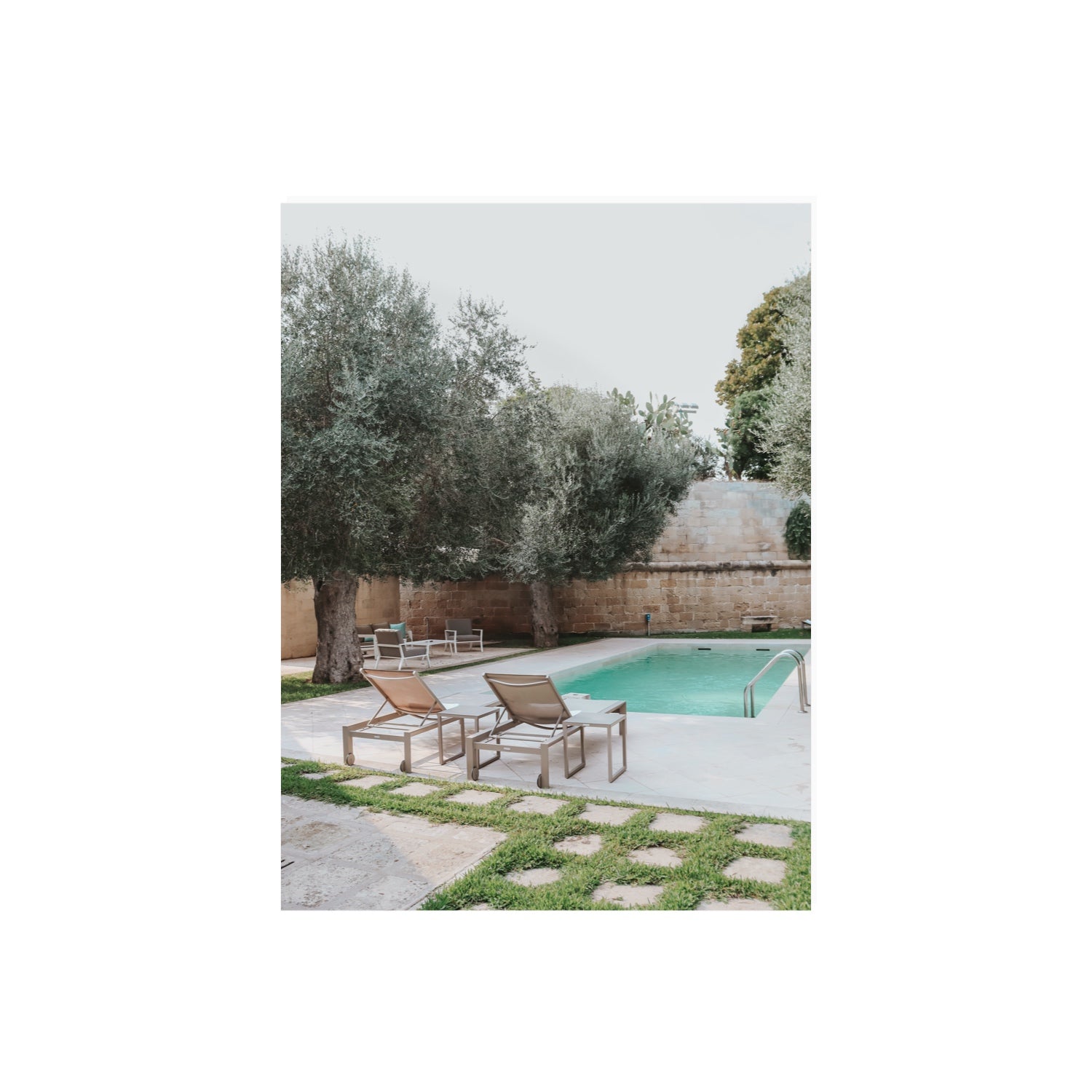 Olive Oasis Puglia Mediterranean wall art 18 x 24 in unframed fine art canvas