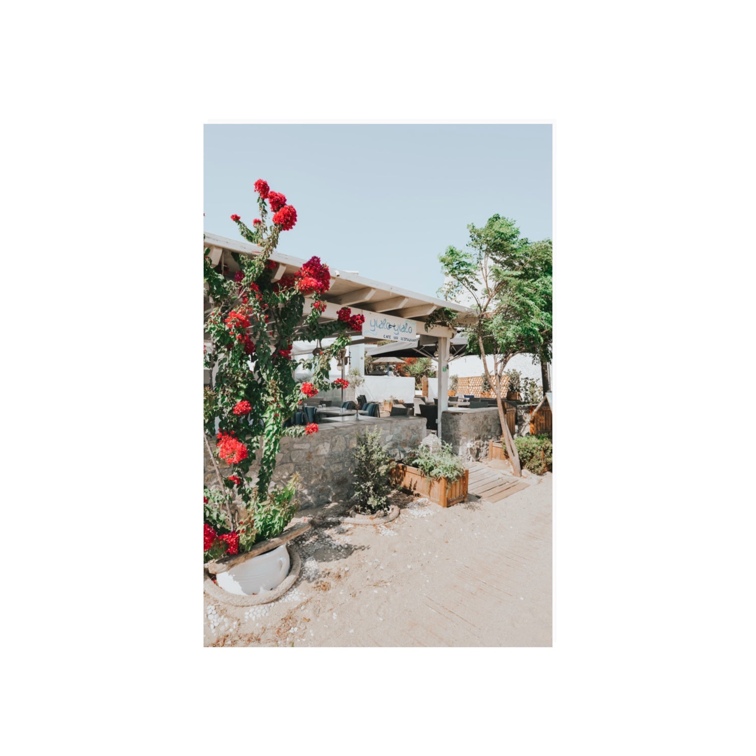 Yialo Yialo fine art print, Mykonos, Greece, 20 x 30 in, Unframed, Fine Art Canvas