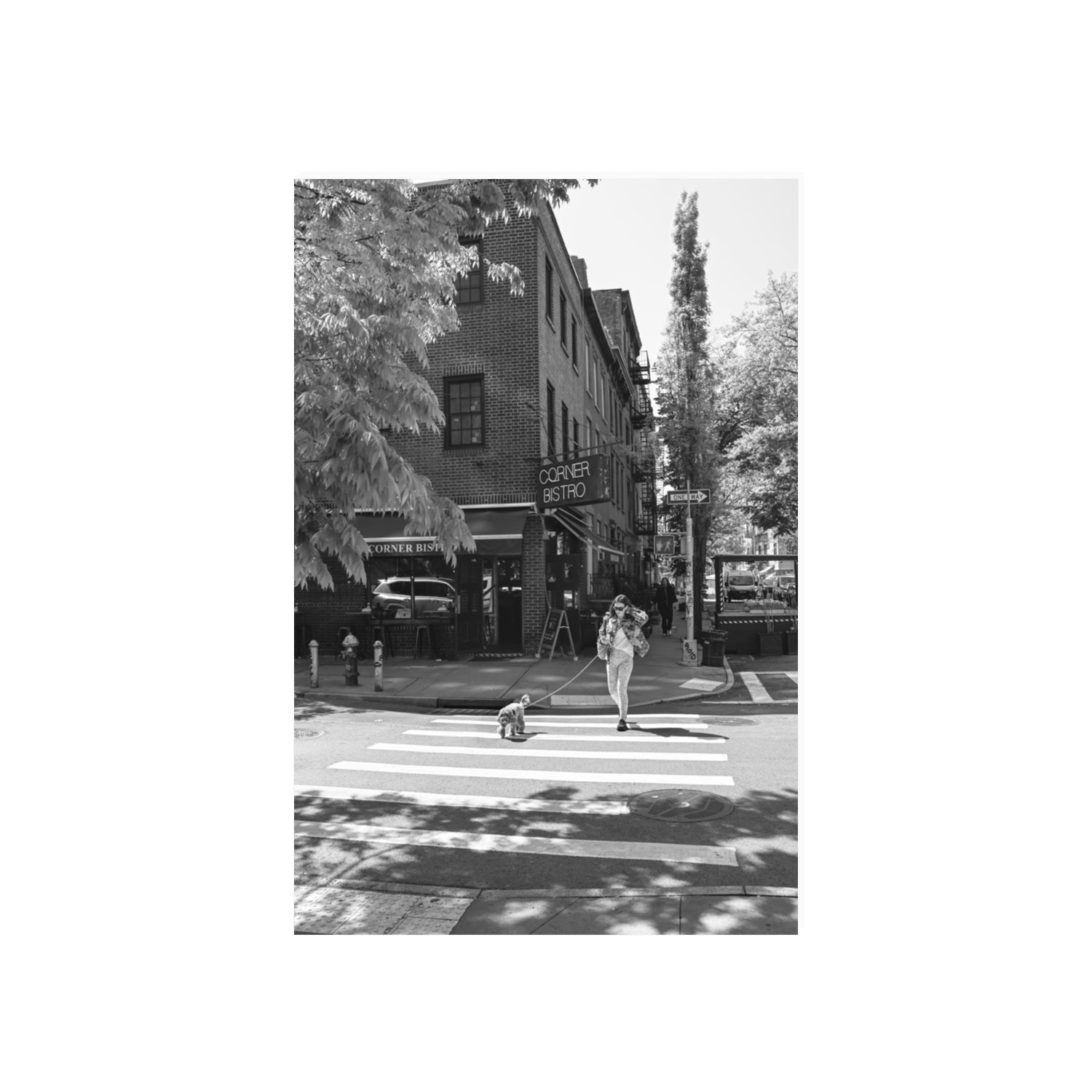 Sunlit Stroll New York NYC Black & White wall art 20 x 30 in unframed fine art canvas