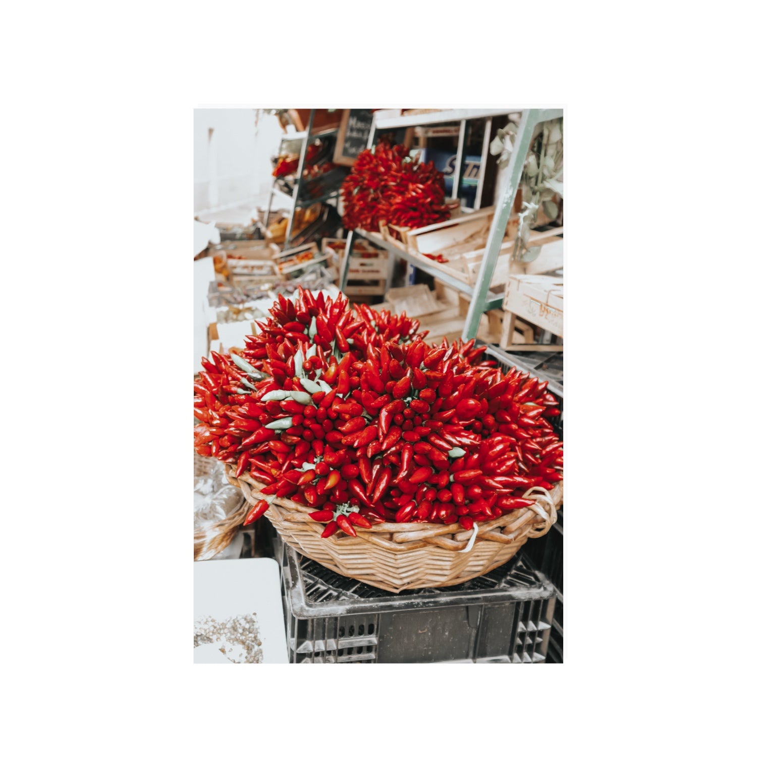 Spicy Bunch Puglia Italian wall art 24 x 36 in unframed fine art canvas