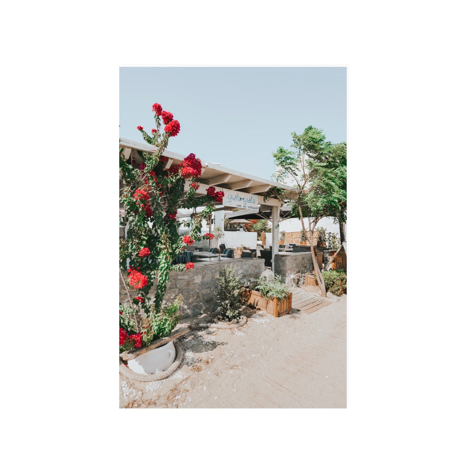 Yialo Yialo fine art print, Mykonos, Greece, 24 x 36 in, Unframed, Fine Art Canvas