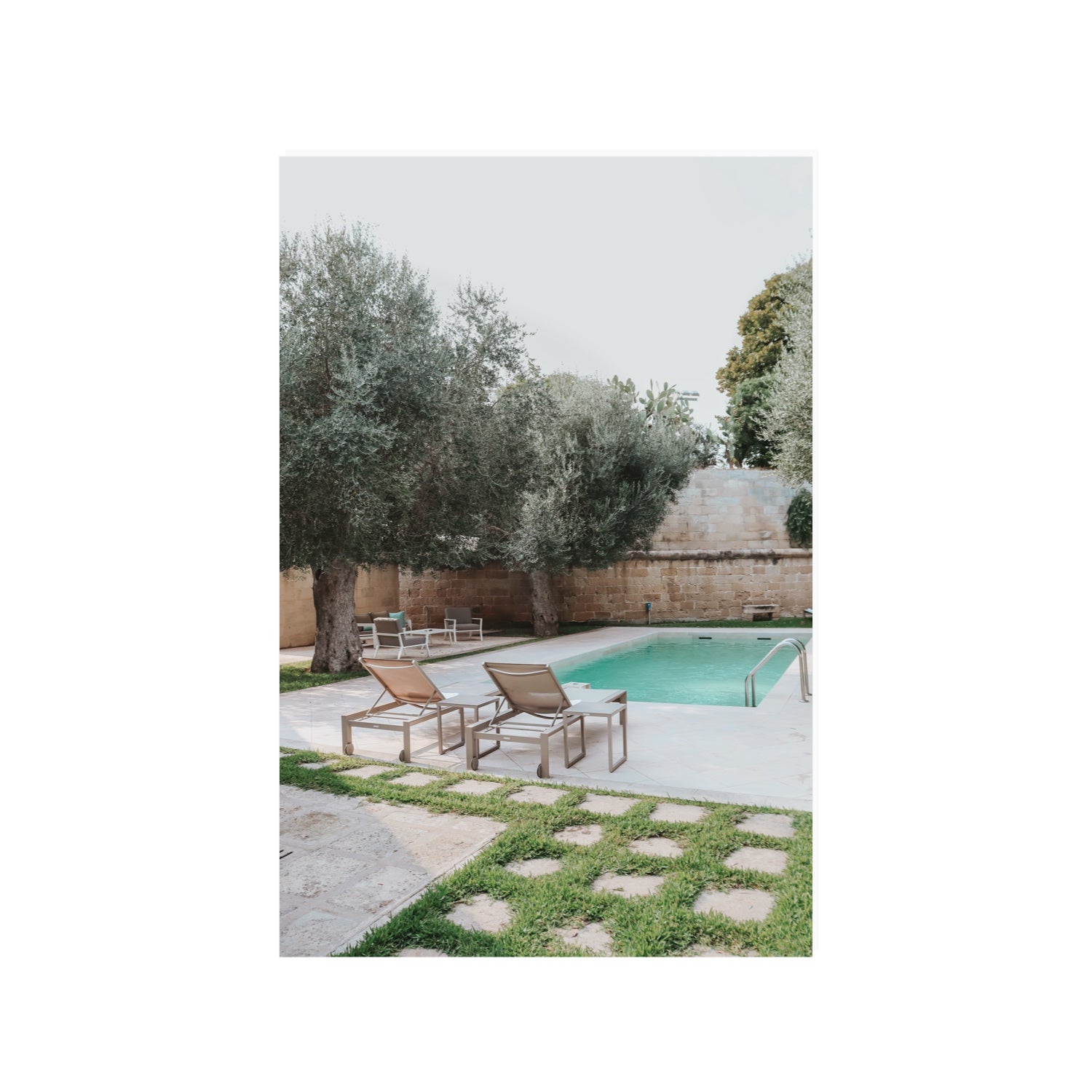 Olive Oasis Puglia Mediterranean wall art 24 x 36 in unframed fine art canvas