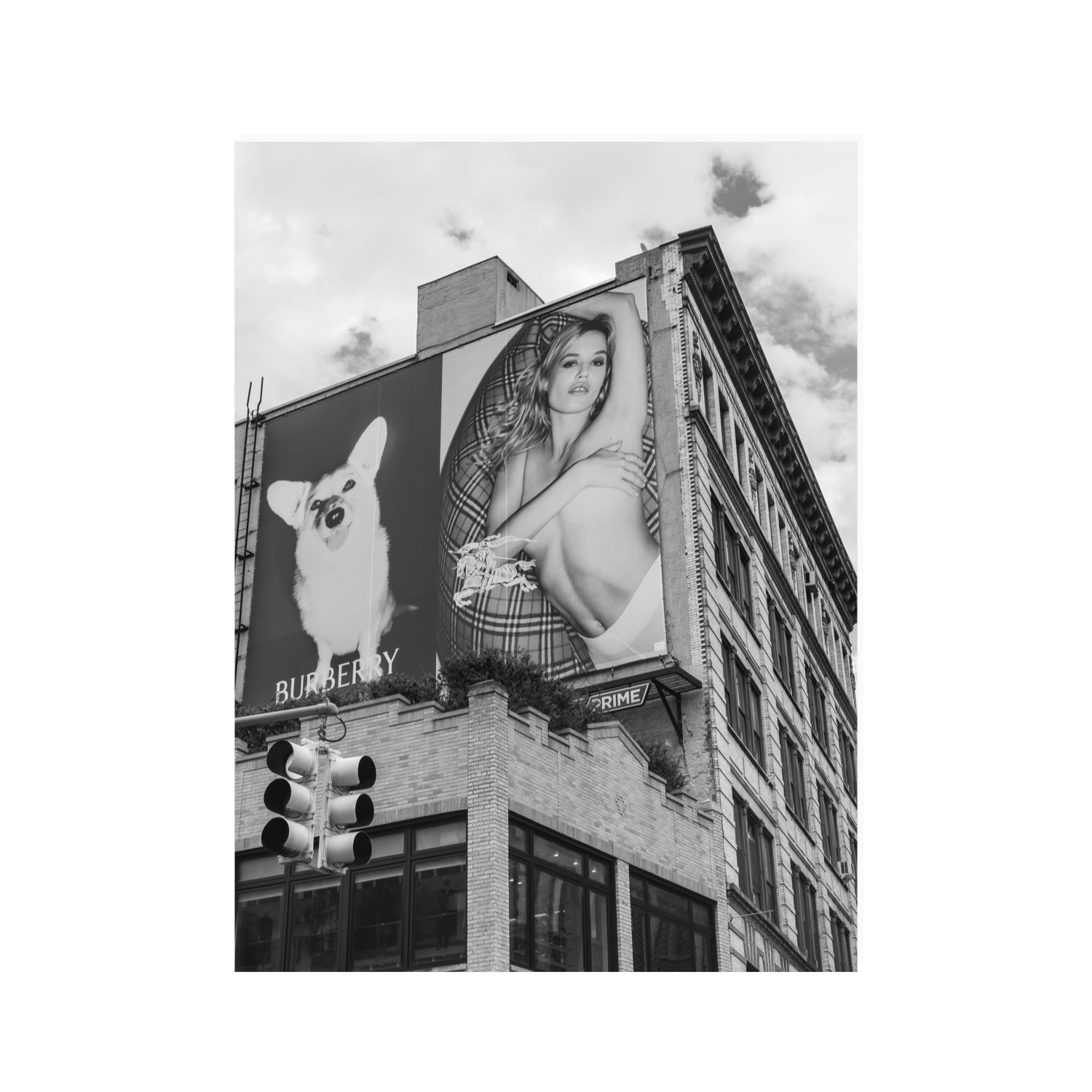 Dynamic Duo fine art print, New York, United States, 30 x 40 in, Unframed, Fine Art Canvas