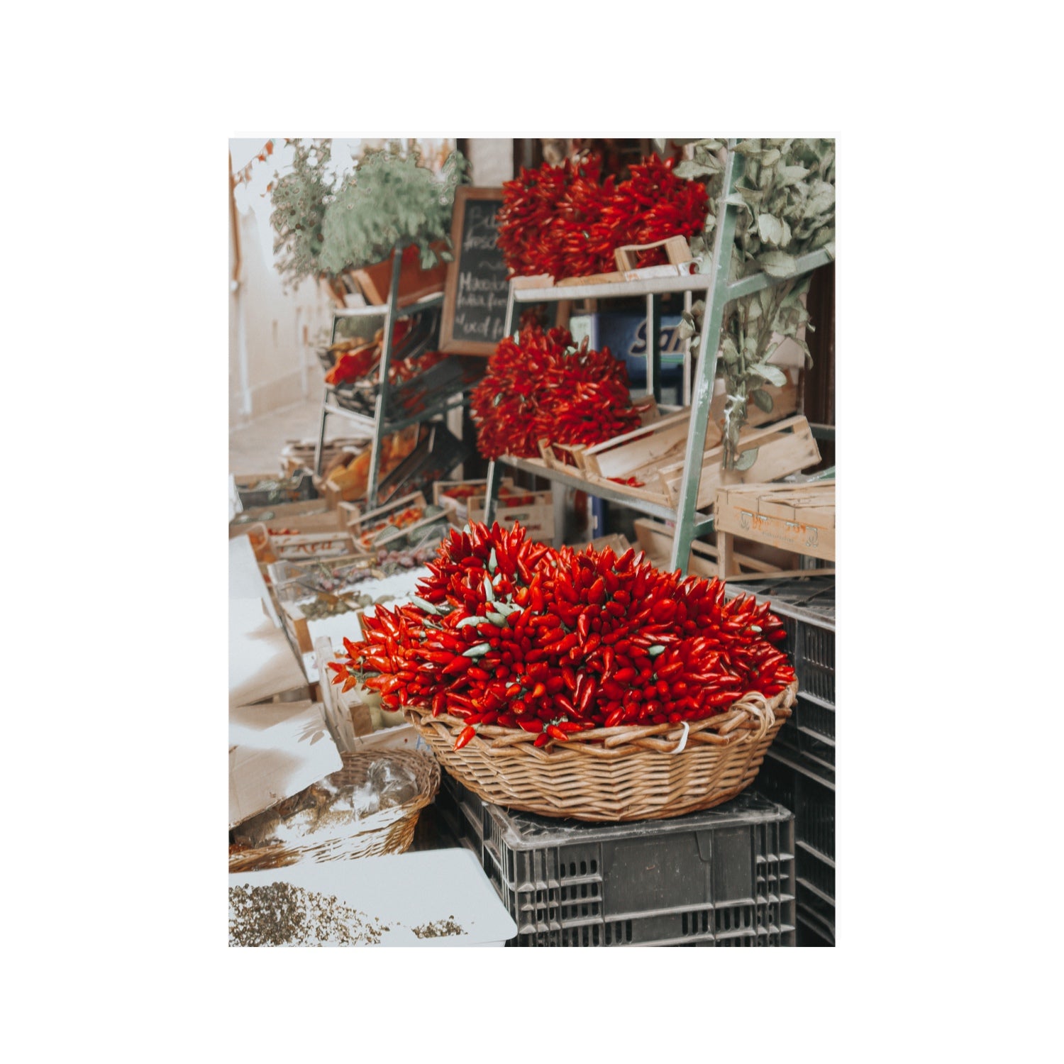 Fiery Cluster Puglia Italian wall art 30 x 40 in unframed fine art canvas
