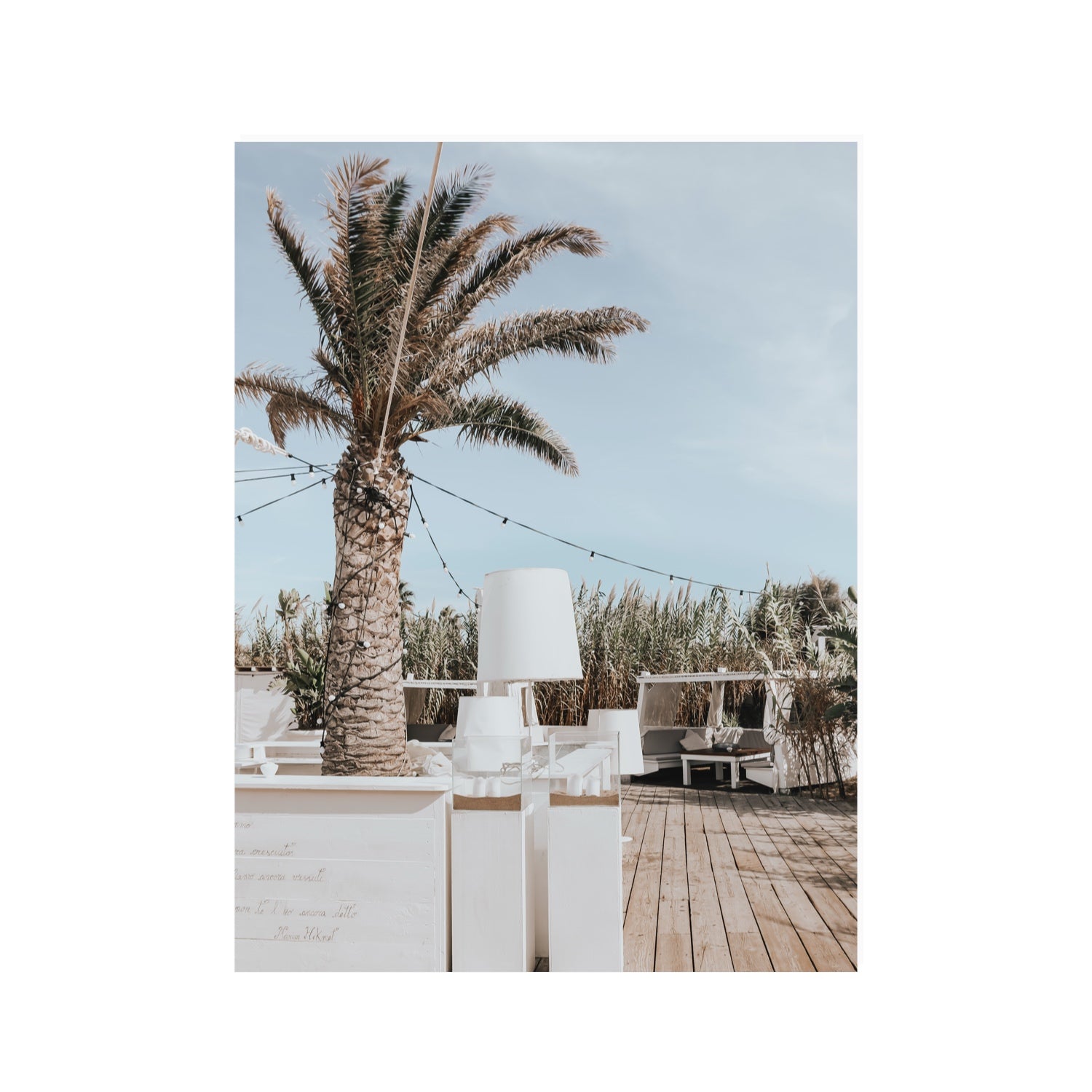 Seabreeze Palm Puglia coastal beach wall art 30 x 40 in unframed fine art canvas
