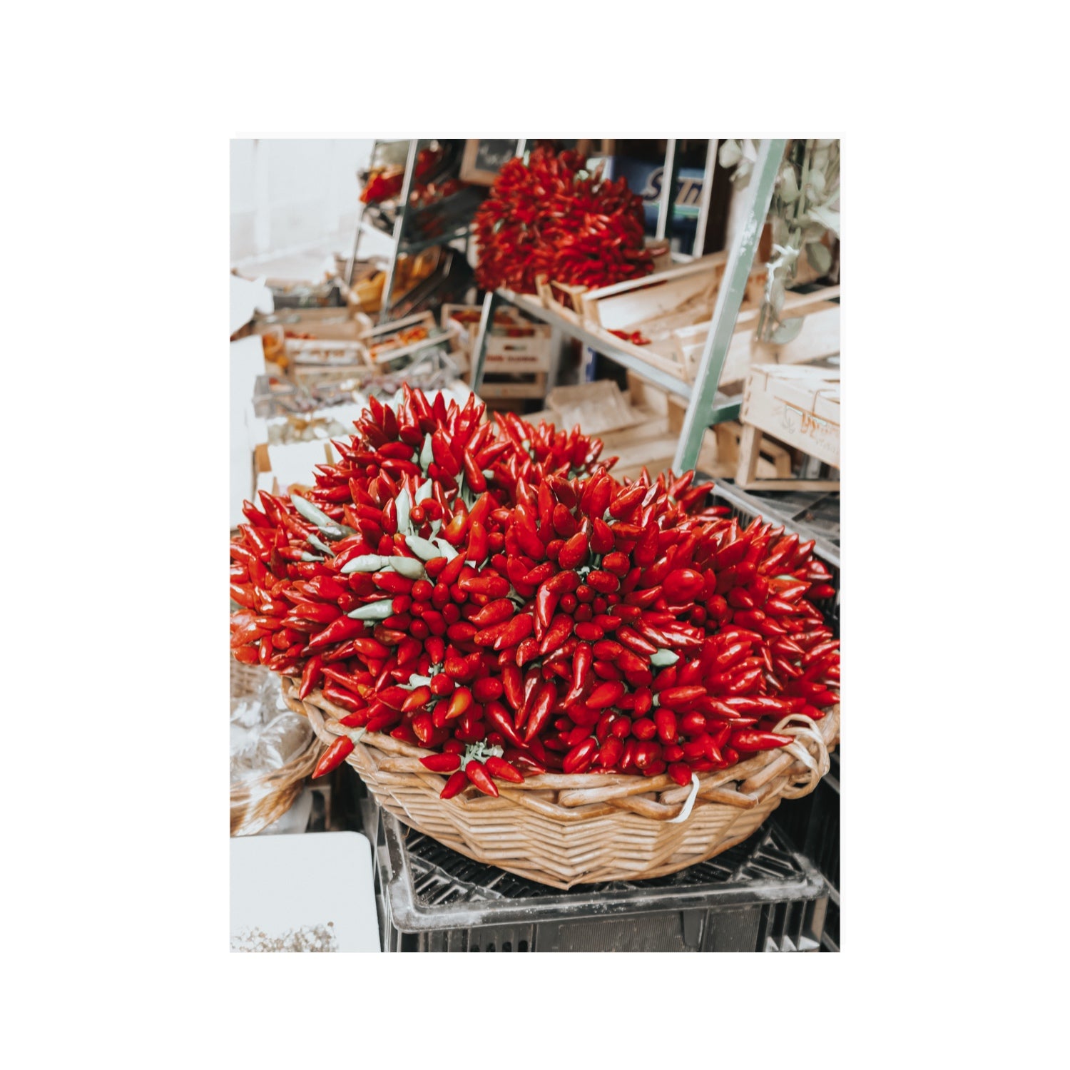 Spicy Bunch Puglia Italian wall art 30 x 40 in unframed fine art canvas