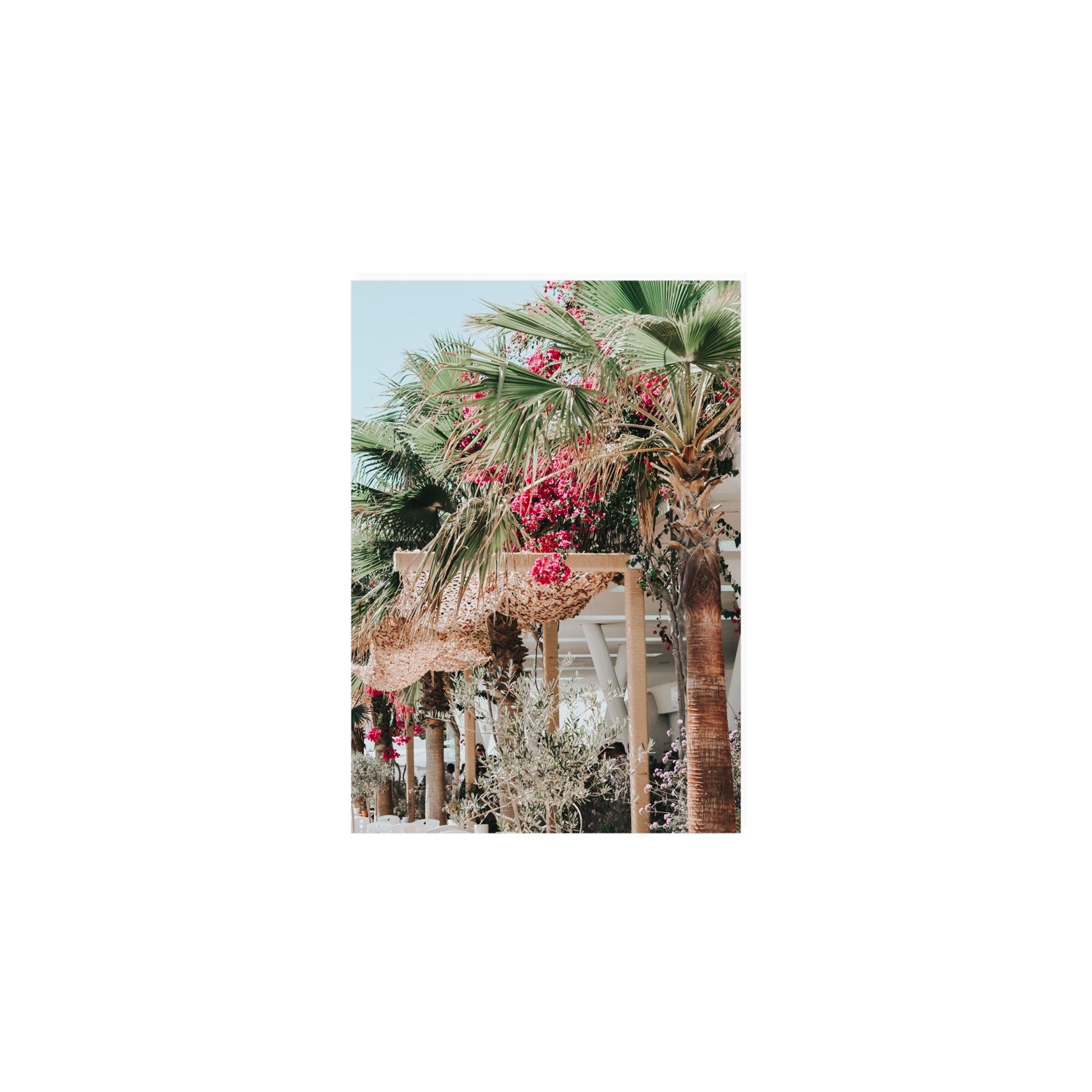 Palm Trees Mykonos Greek island wall art A5, 21 x 14.8 cm unframed fine art print