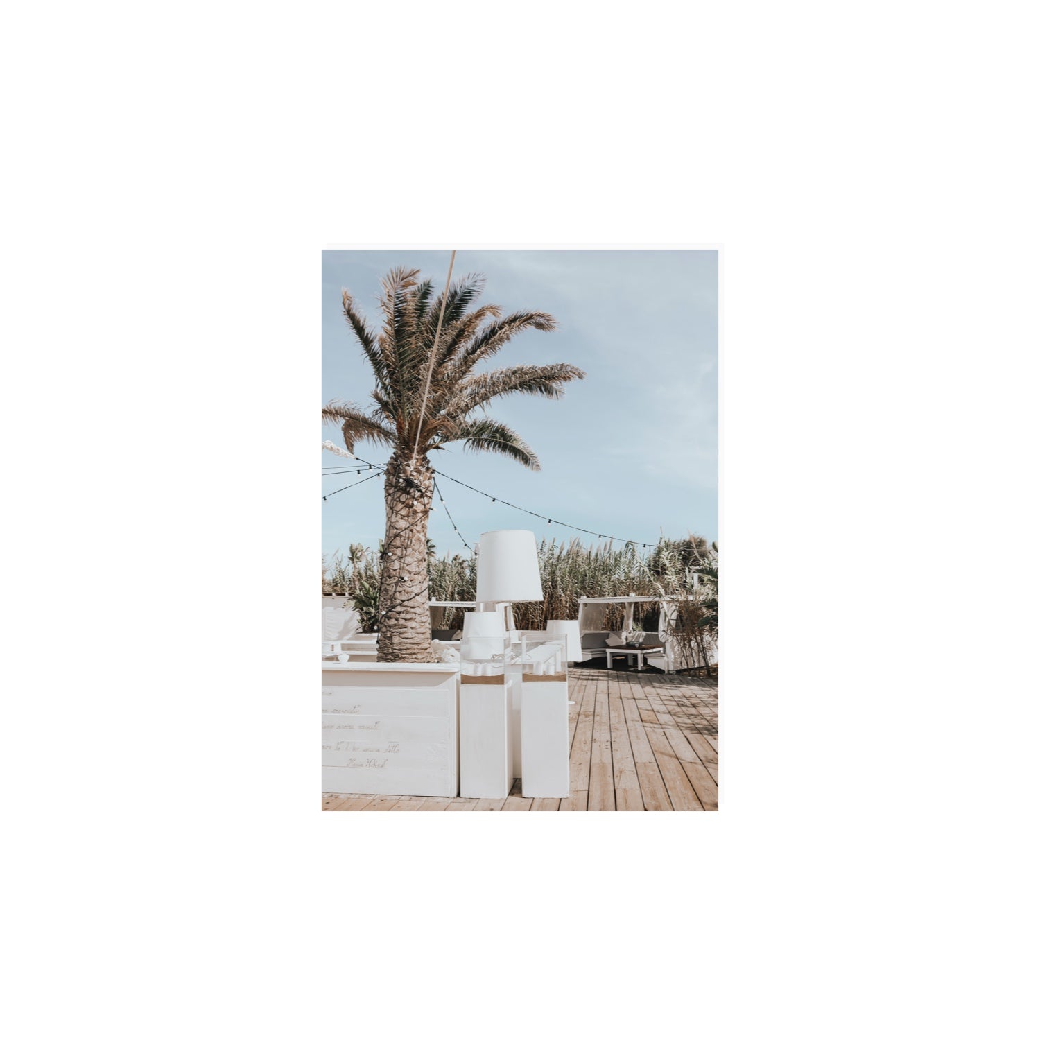 Seabreeze Palm Puglia coastal beach wall art A4, 29.7 x 21 cm unframed fine art print