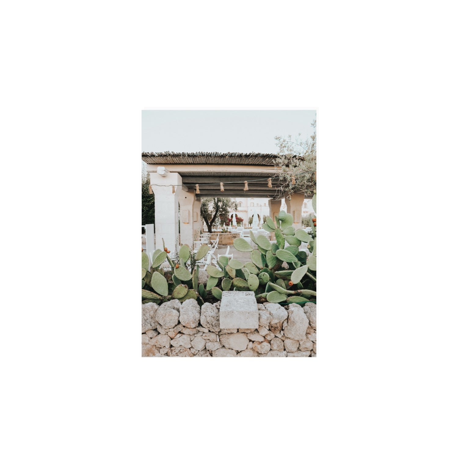 Puglia Flora Puglia Borgo Egnazia Mediterranean wall art A4, 29.7 x 21 cm unframed fine art print
