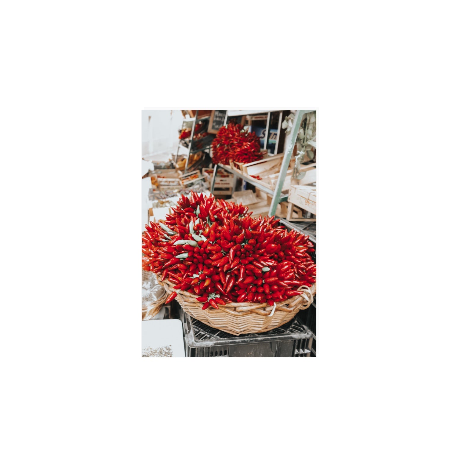 Spicy Bunch Puglia Italian wall art A4, 29.7 x 21 cm unframed fine art print