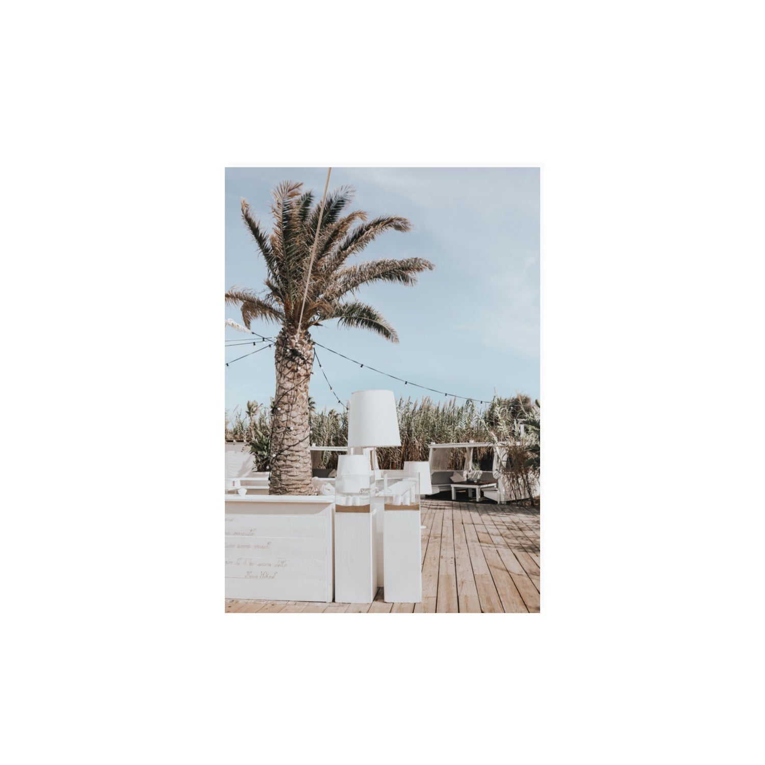 Seabreeze Palm Puglia coastal beach wall art A3, 42 x 29.7 cm unframed fine art print