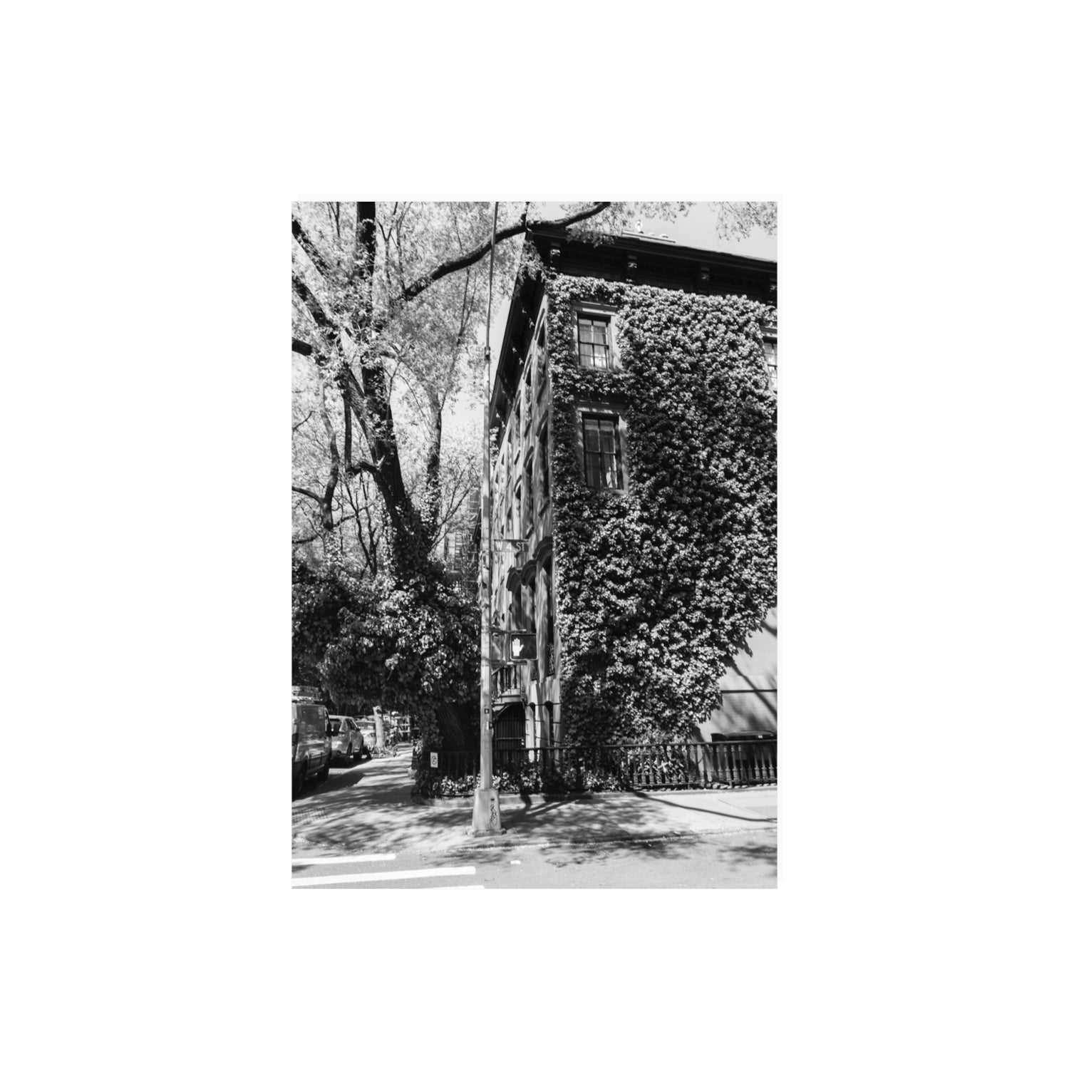 Vertical Garden New York NYC Black & White wall art A2, 59.4 x 42 cm unframed fine art print