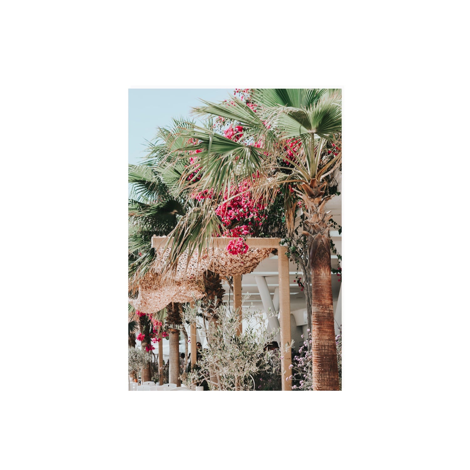 Palm Trees Mykonos Greek island wall art A2, 59.4 x 42 cm unframed fine art print