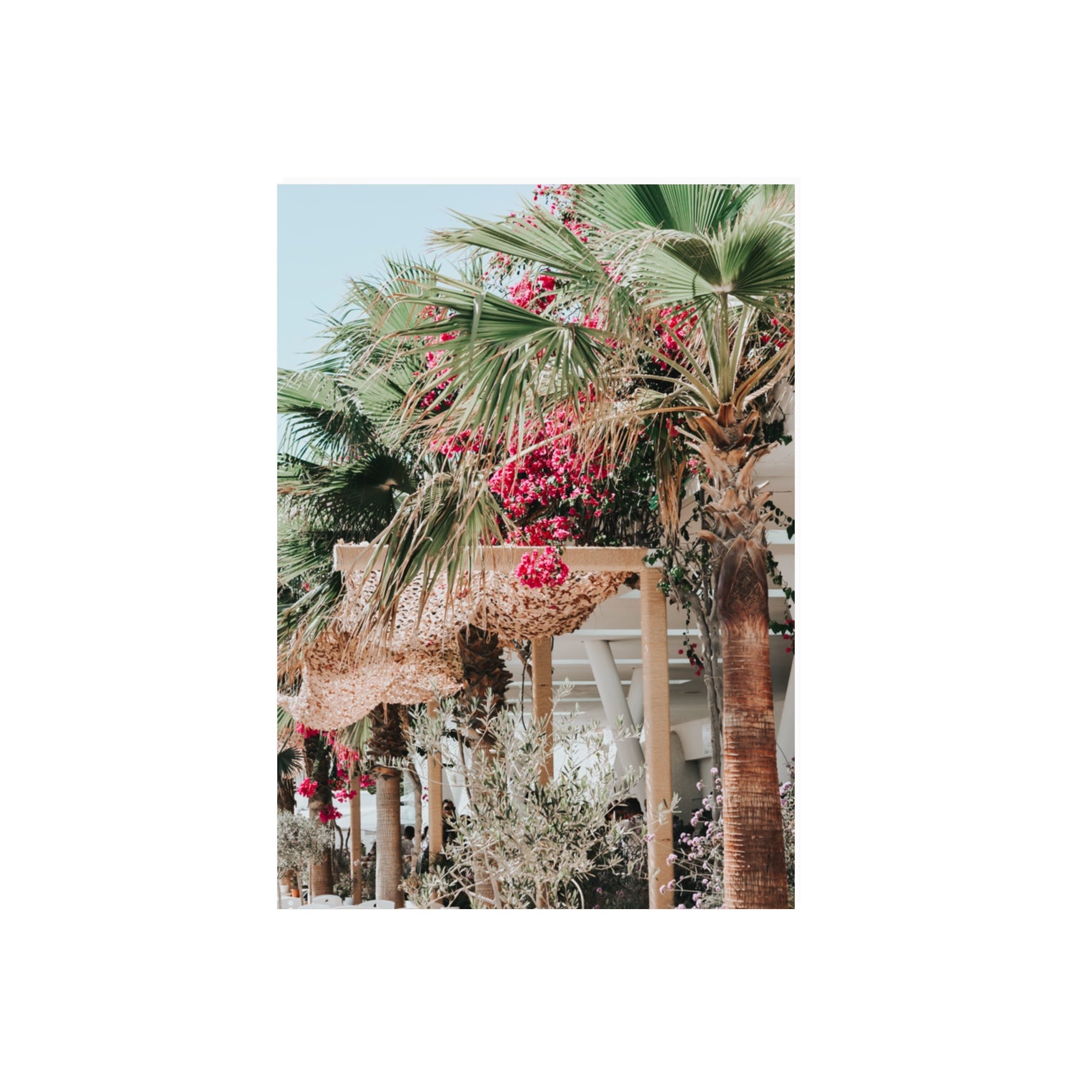 Palm Trees Mykonos Greek island wall art 70 x 50 cm unframed fine art print
