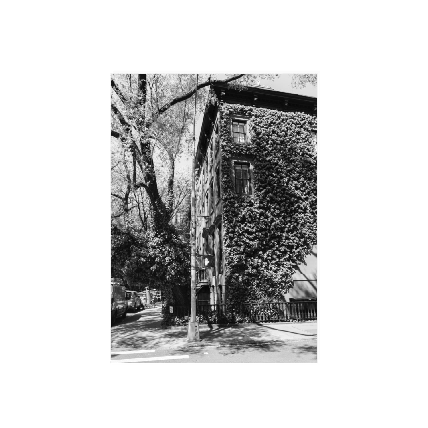 Vertical Garden New York NYC Black & White wall art 70 x 50 cm unframed fine art print
