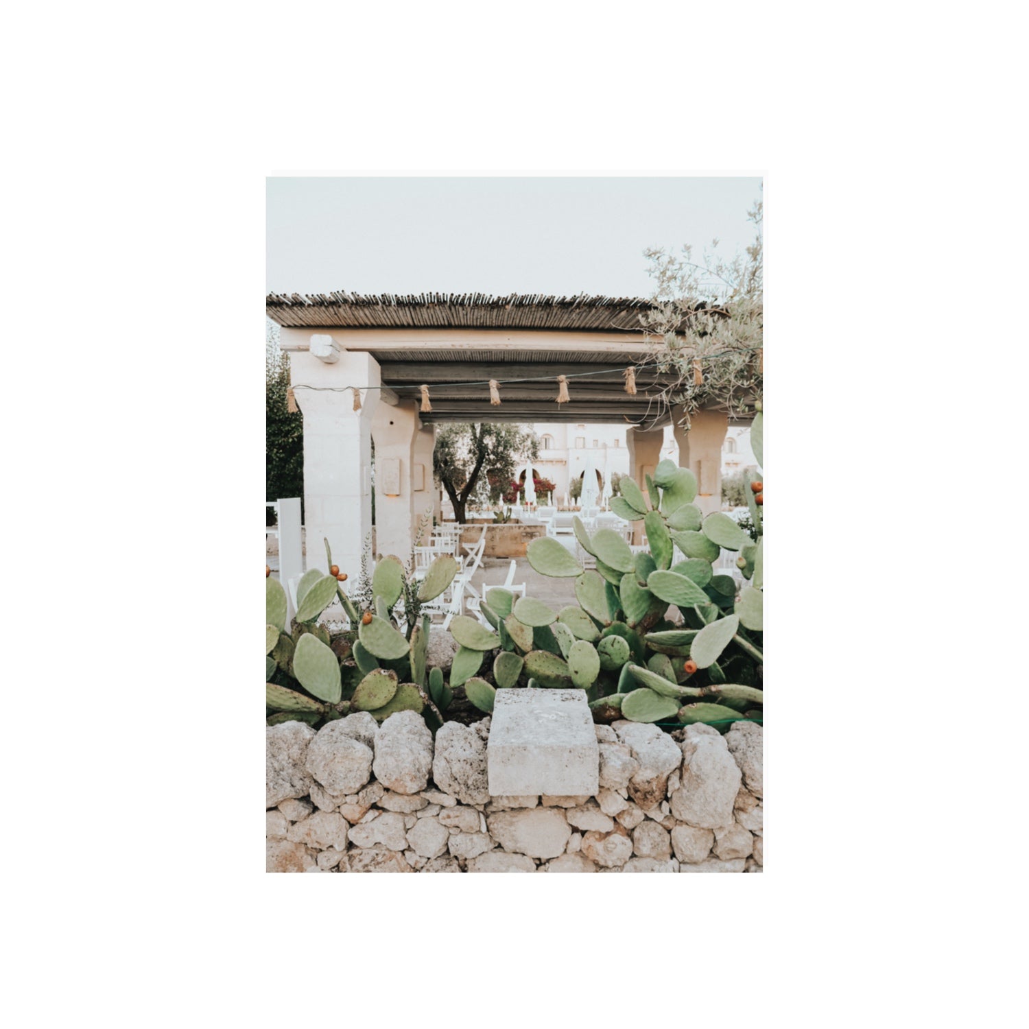 Puglia Flora Puglia Borgo Egnazia Mediterranean wall art 70 x 50 cm unframed fine art print