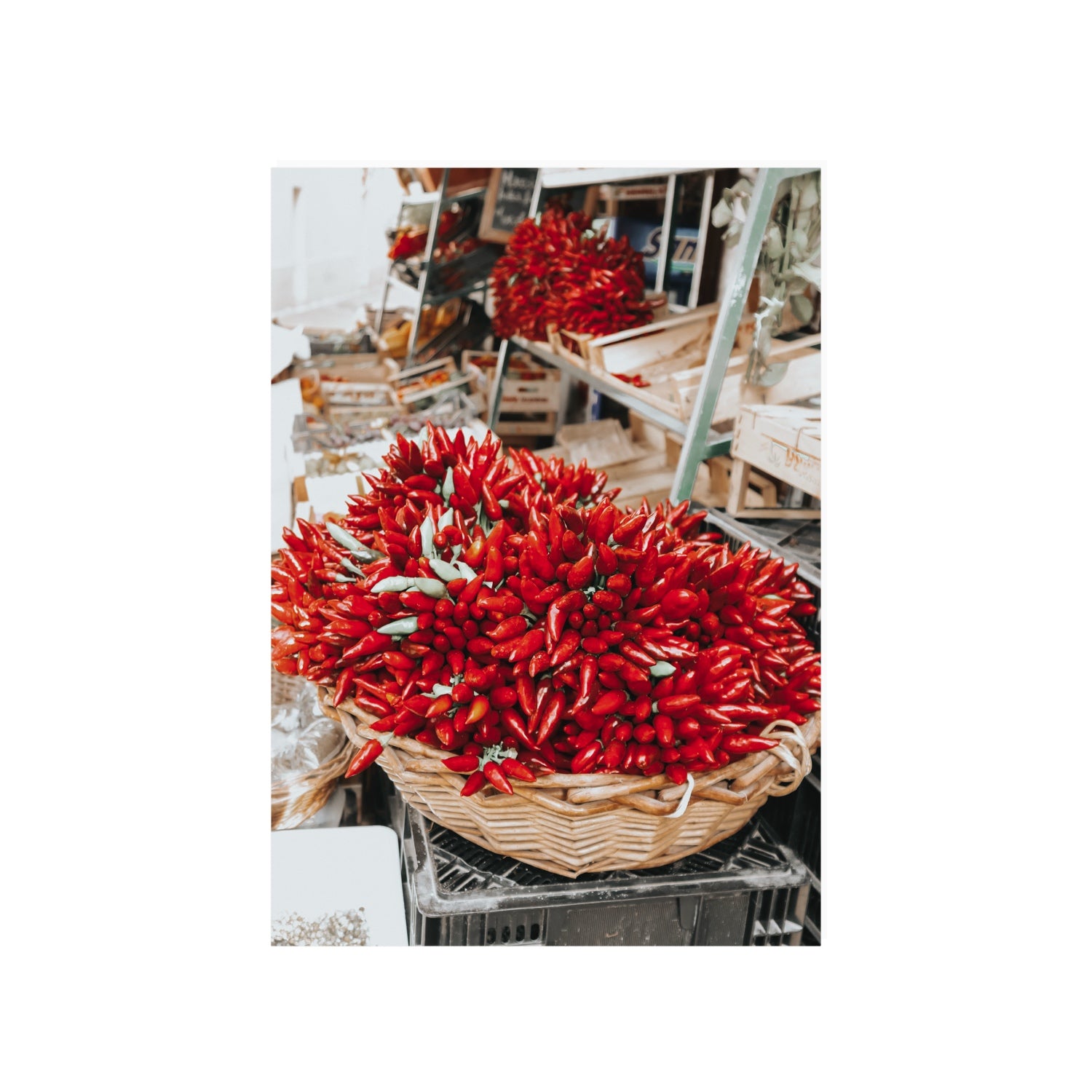 Spicy Bunch Puglia Italian wall art A1, 84.1 x 59.4 cm unframed fine art print