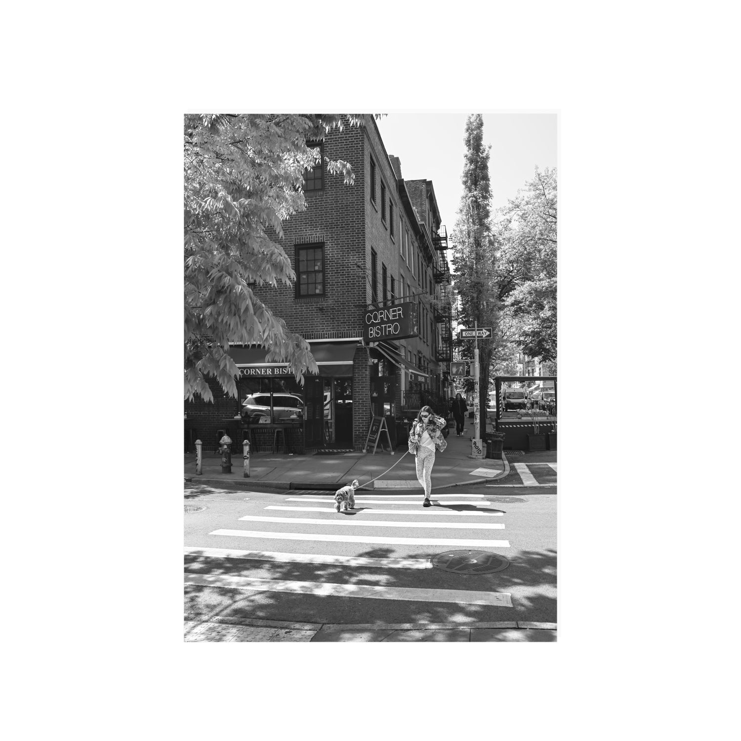 Sunlit Stroll New York NYC Black & White wall art A1, 84.1 x 59.4 cm unframed fine art print
