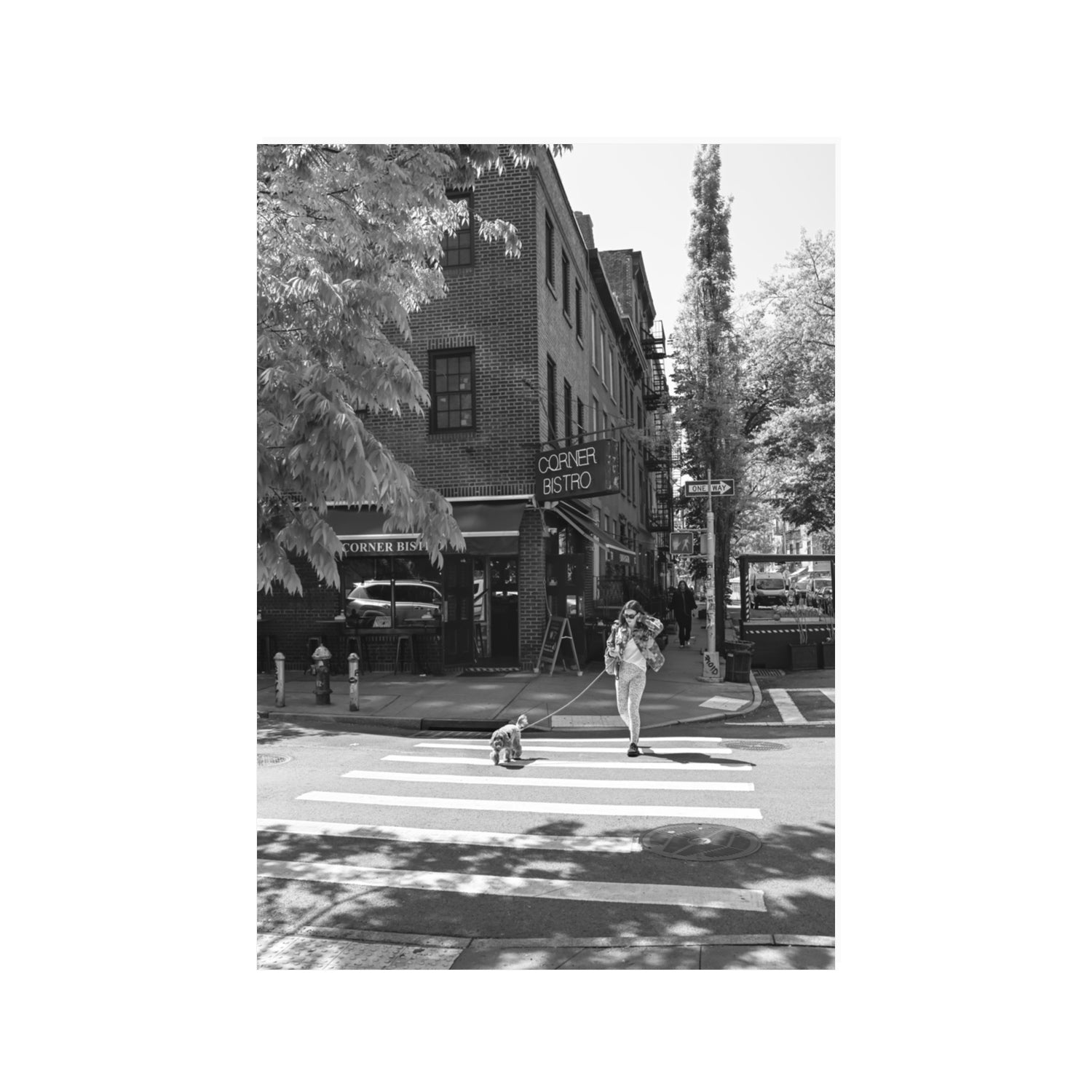 Sunlit Stroll New York NYC Black & White wall art 100 x 70 cm unframed fine art print