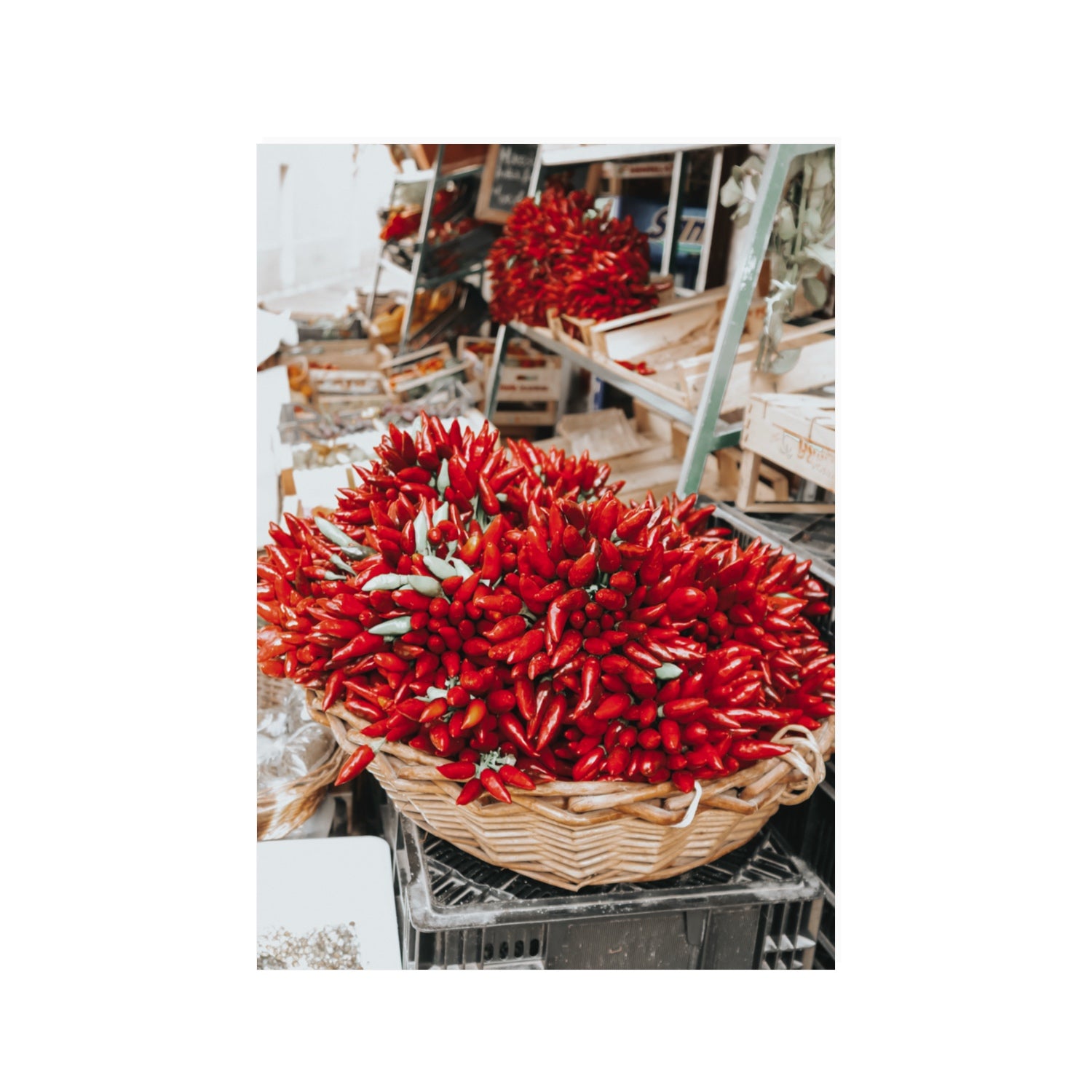 Spicy Bunch Puglia Italian wall art 100 x 70 cm unframed fine art print