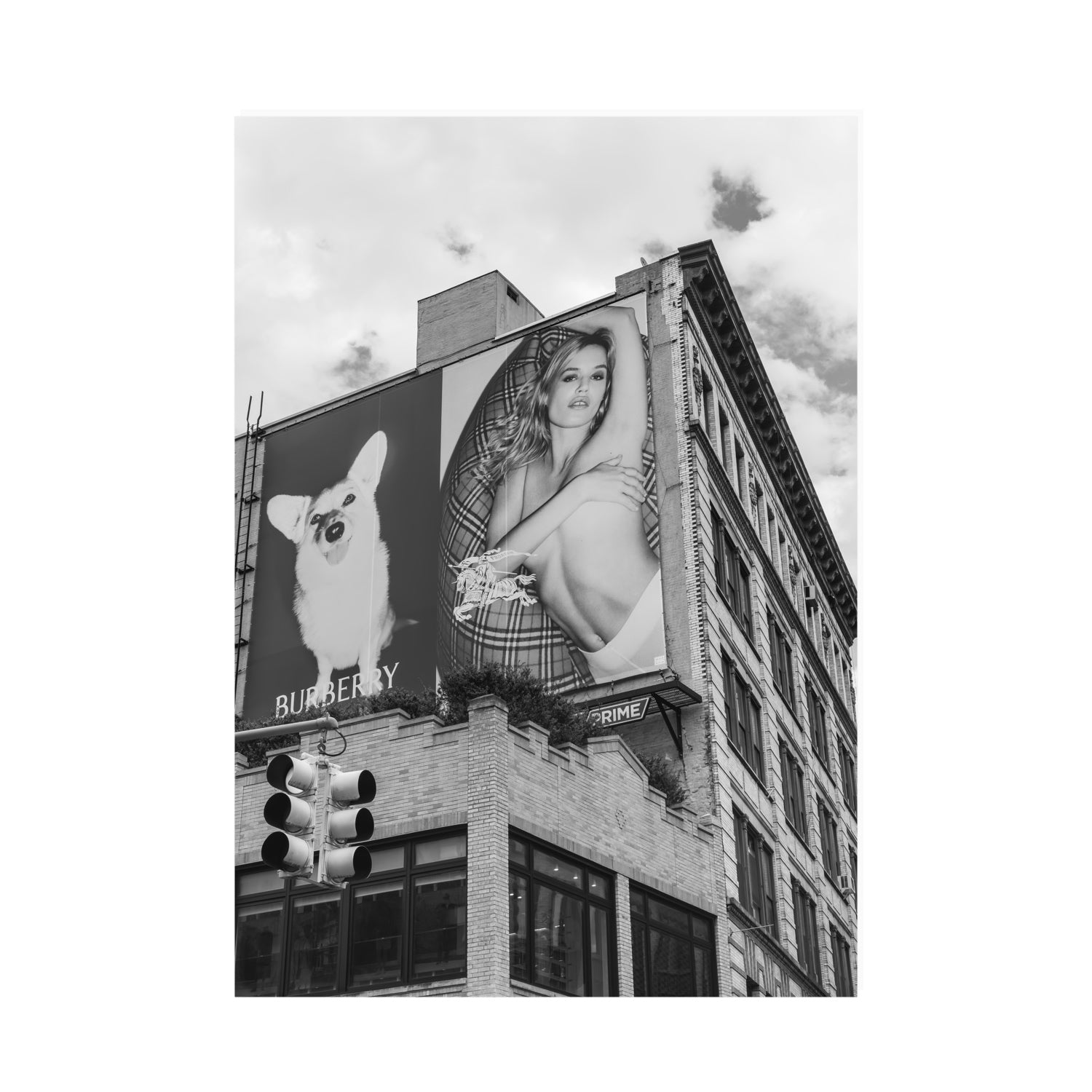 Dynamic Duo fine art print, New York, United States, A0 · 118.9 cm x 84.1 cm, Unframed, Fine Art Print