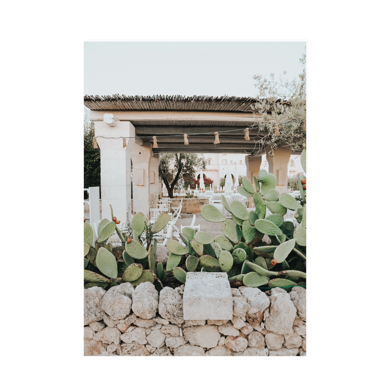 Puglia Flora Puglia Borgo Egnazia Mediterranean wall art A0 unframed fine art print