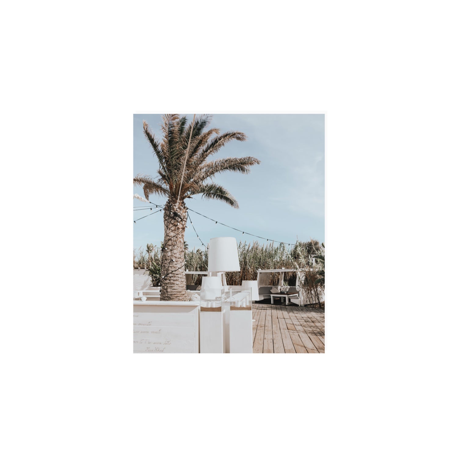 Seabreeze Palm Puglia coastal beach wall art 8 x 10 in unframed fine art print