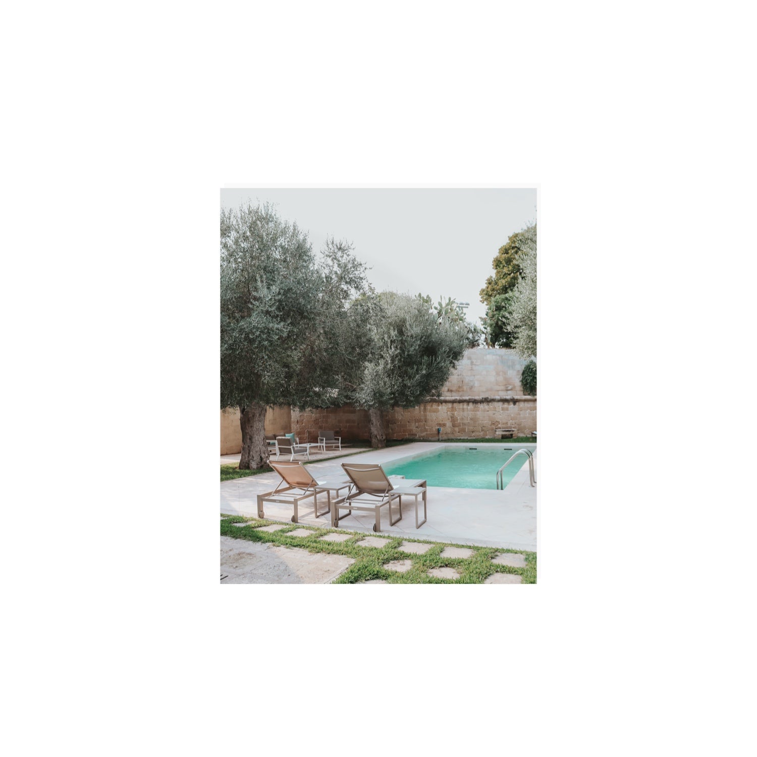 Olive Oasis Puglia Mediterranean wall art 8 x 10 in unframed fine art print