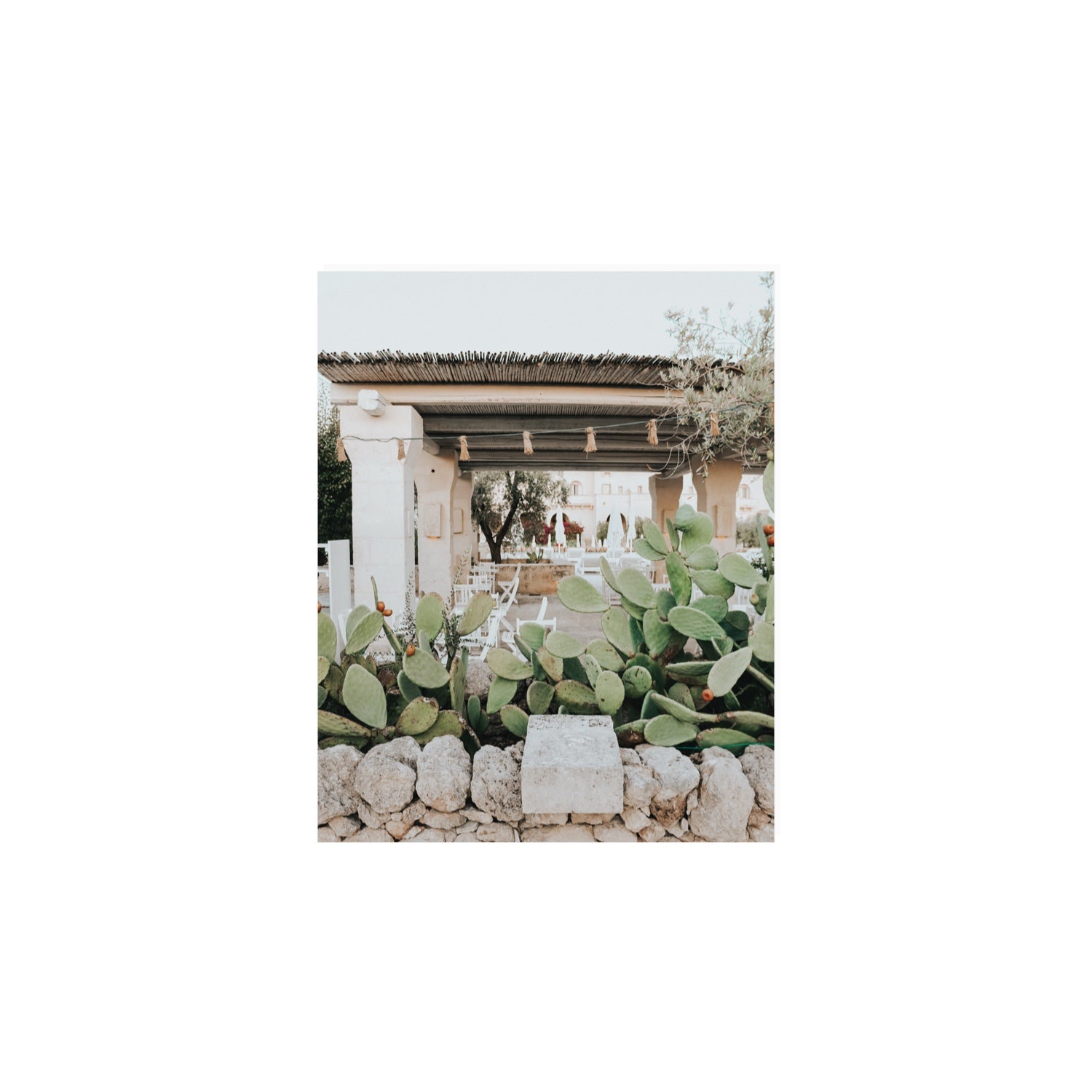 Puglia Flora Puglia Borgo Egnazia Mediterranean wall art 8 x 10 in unframed fine art print