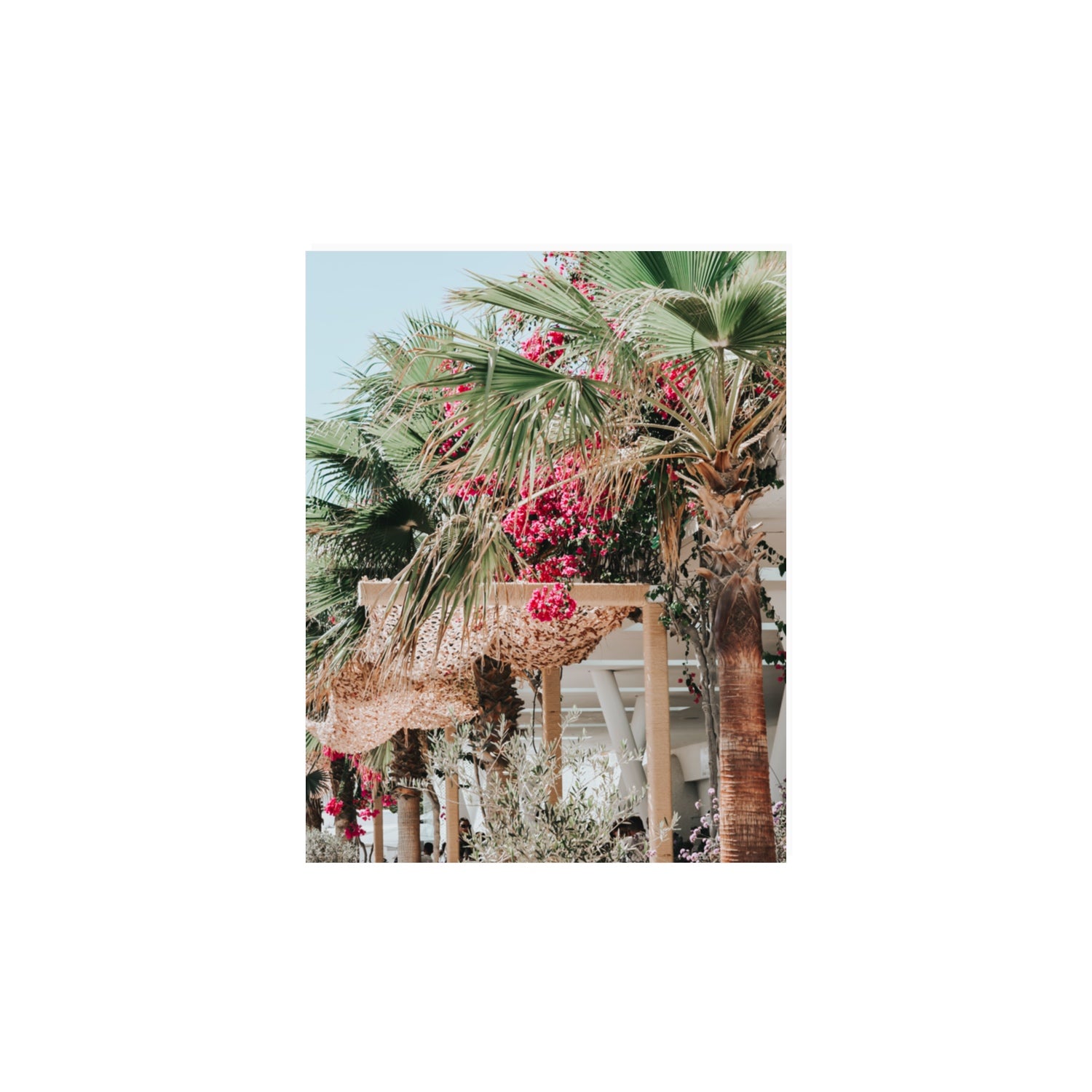 Palm Trees Mykonos Greek island wall art 11 x 14 in unframed fine art print